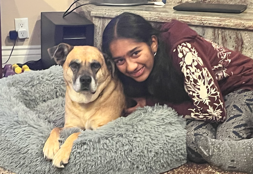 For the Love of Dance & Animals: Support Blue Cross of India campaign photo, 2 of 7