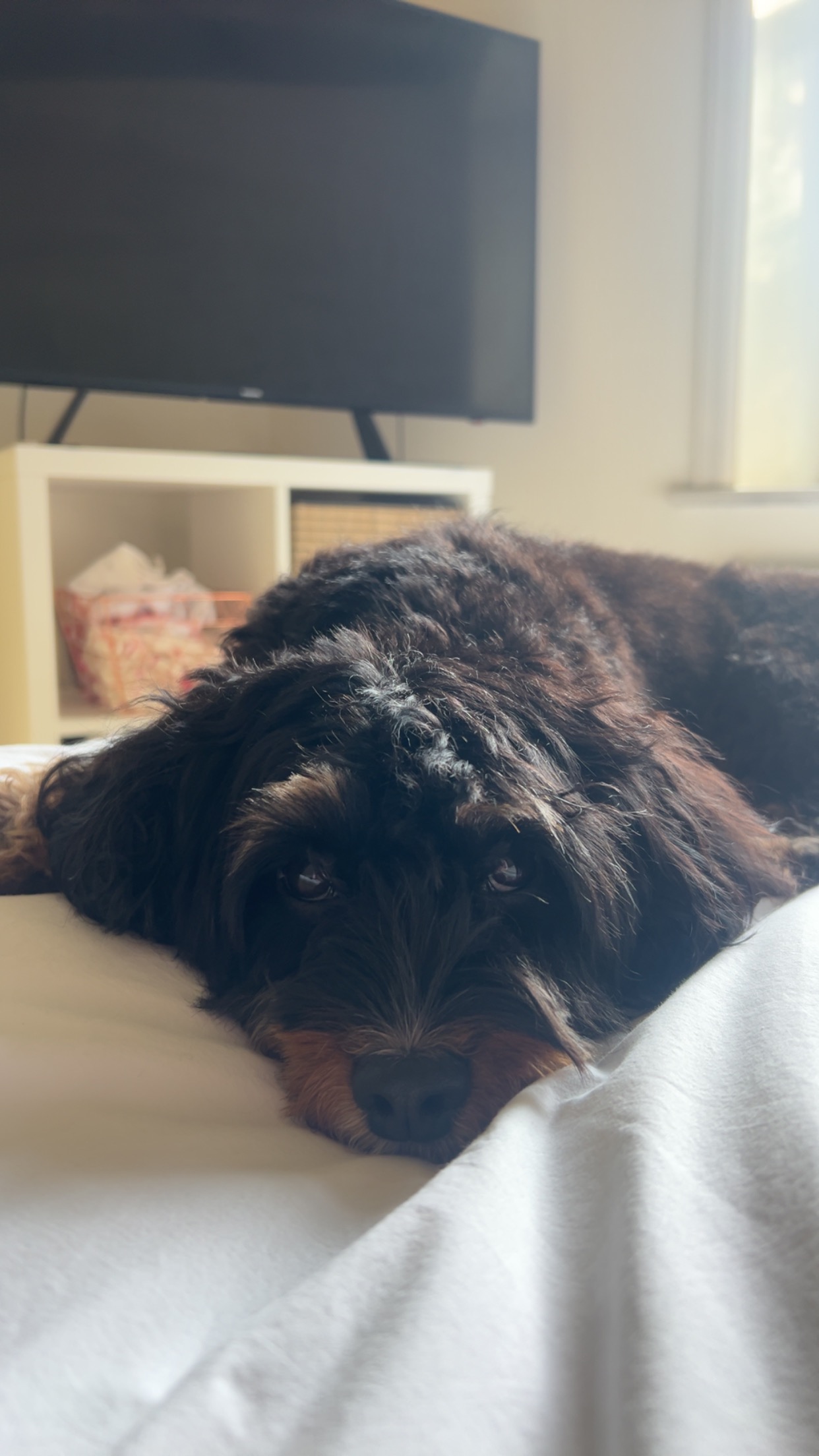 User-uploaded image 1