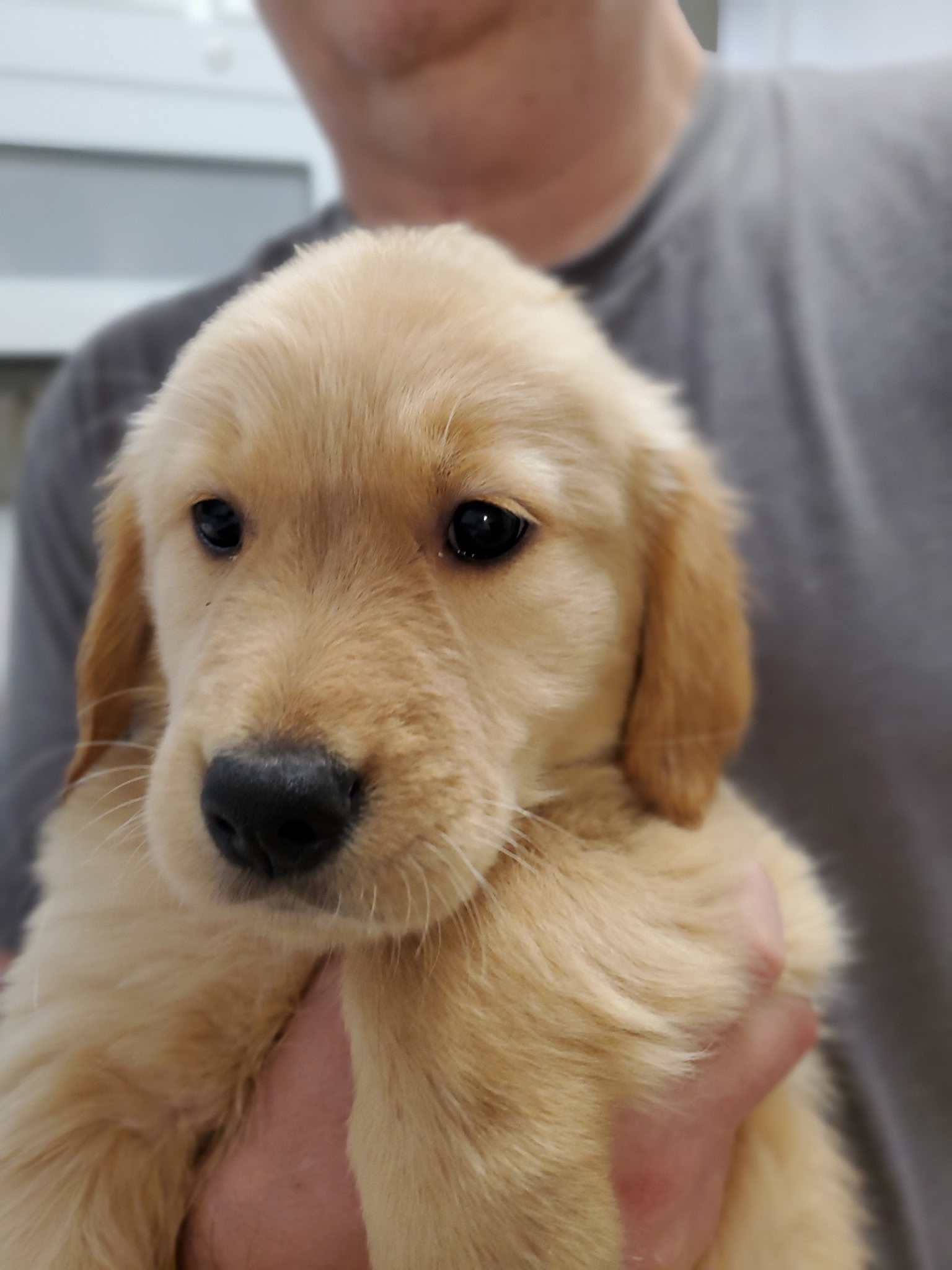 A Service Dog for My Niece's Healing Journey campaign photo, 5 of 6