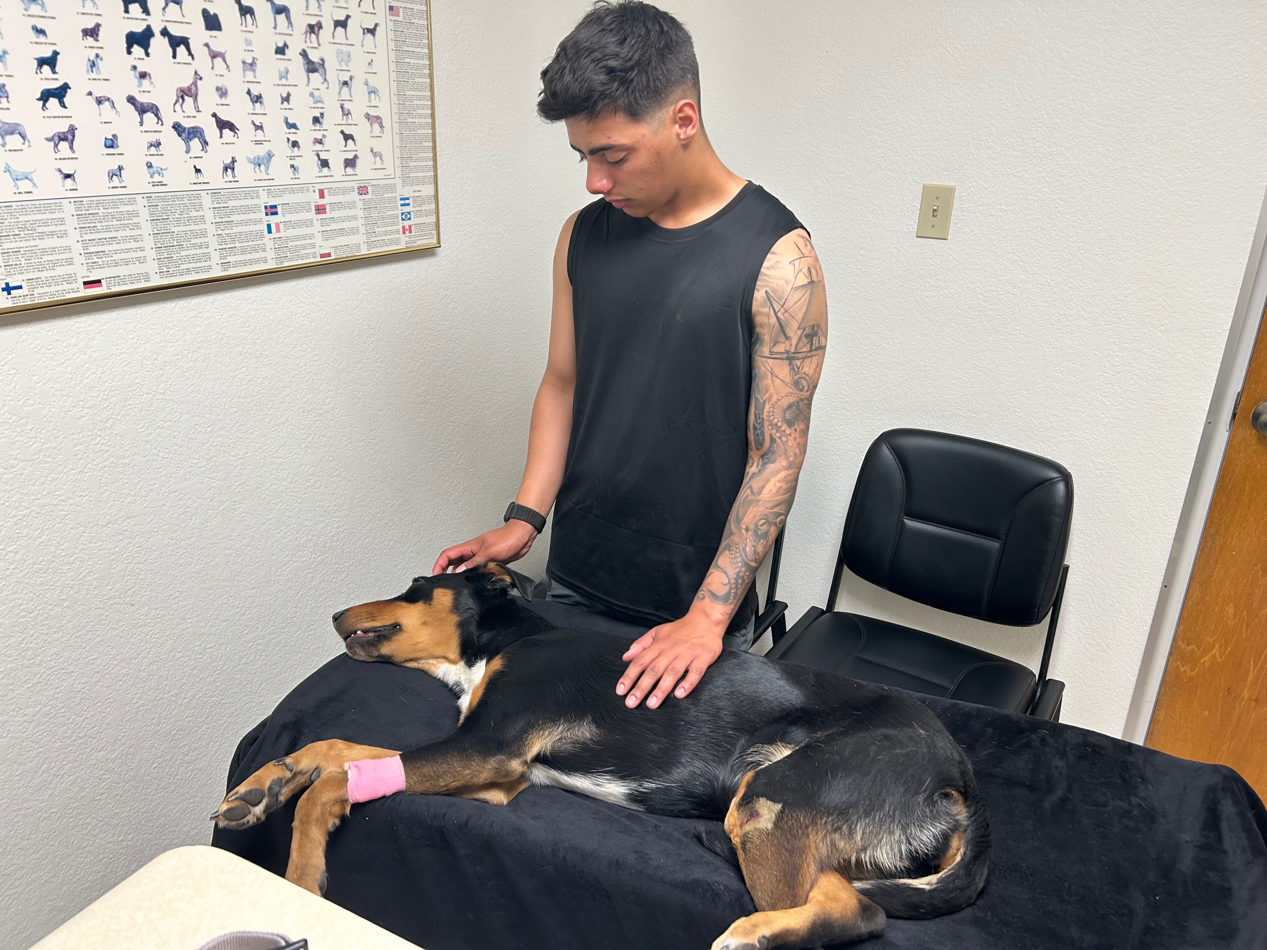 In Memory of Luna – Emergency Vet Help Needed campaign photo, 4 of 7