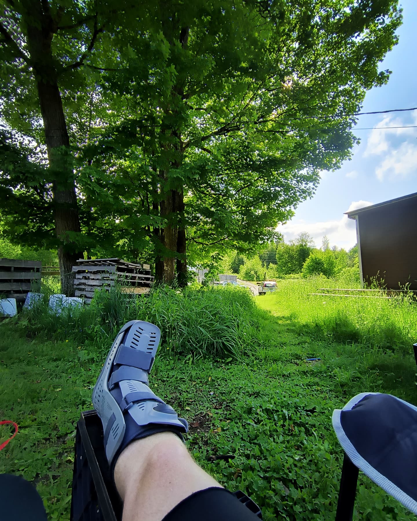 Support the Swamp Hag after ankle surgery! campaign photo, 6 of 7