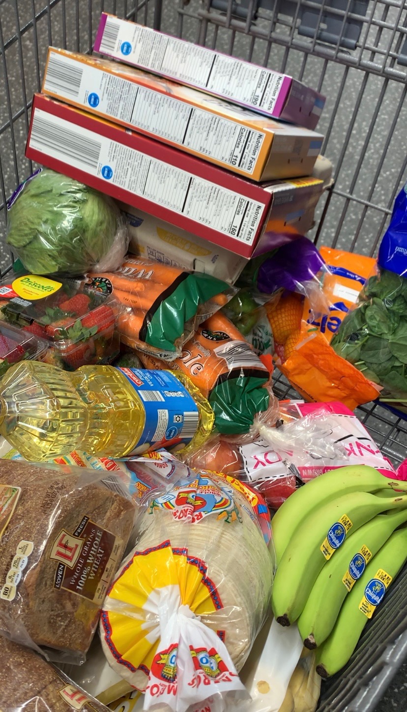 User-uploaded image 1