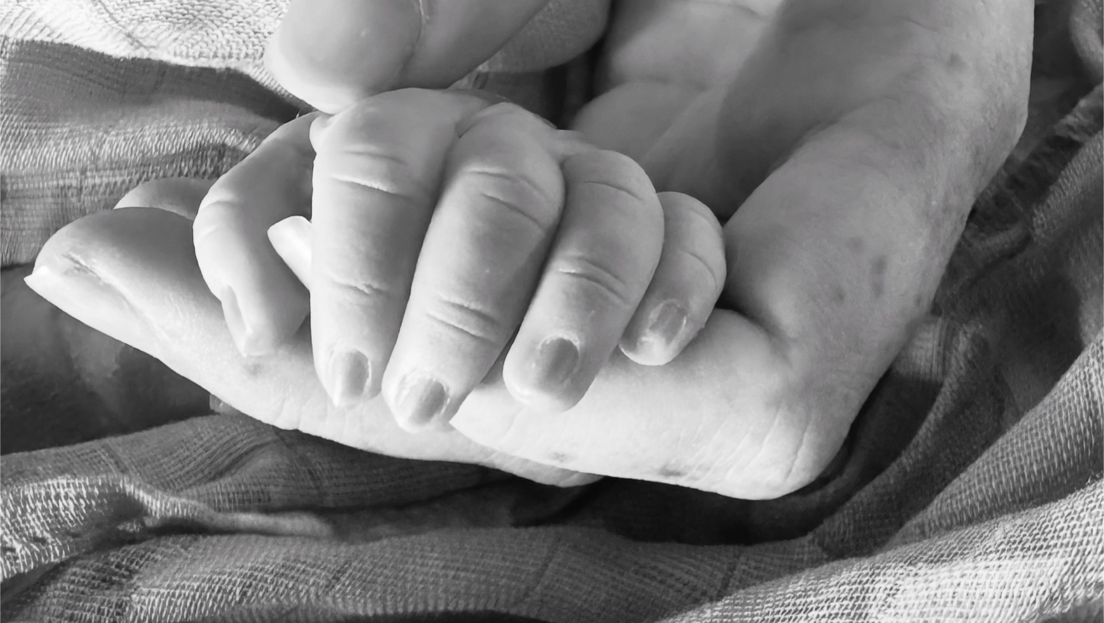 Help Bring Zen Diamond Album to Life photo