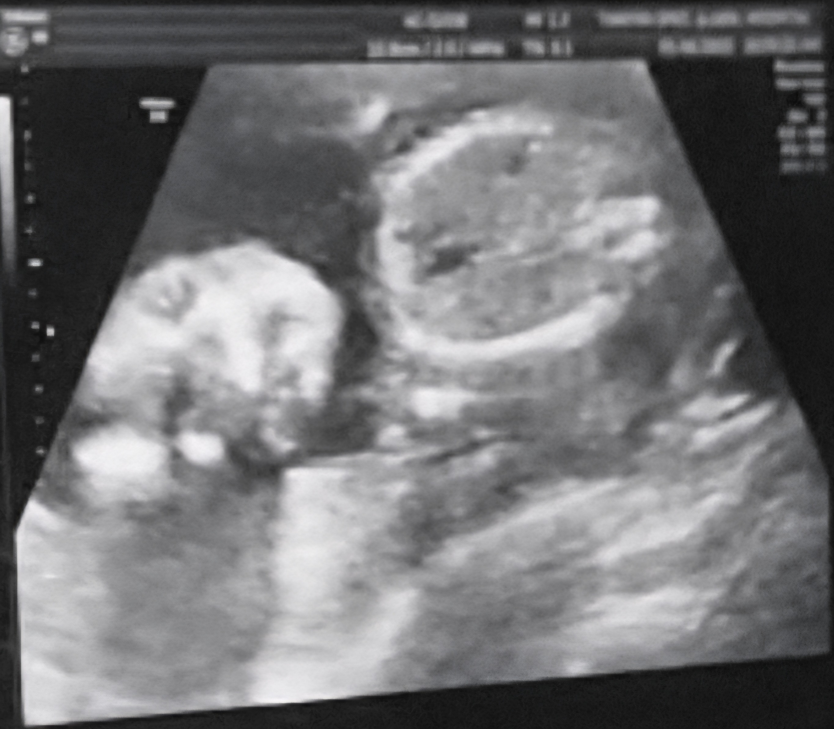 User-uploaded image 1