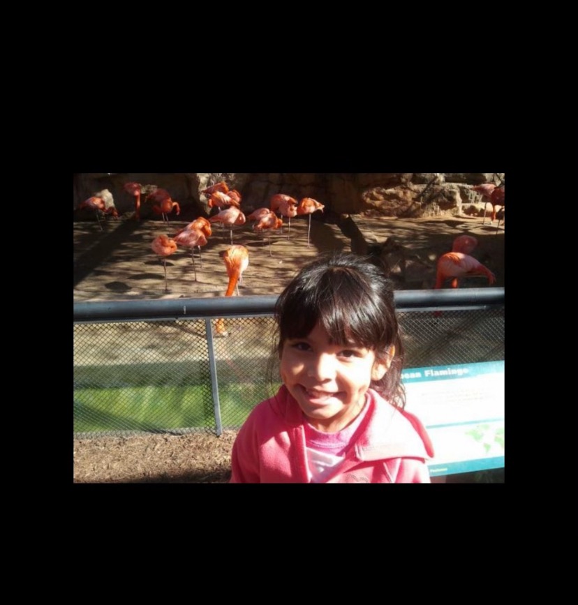 User-uploaded image 1