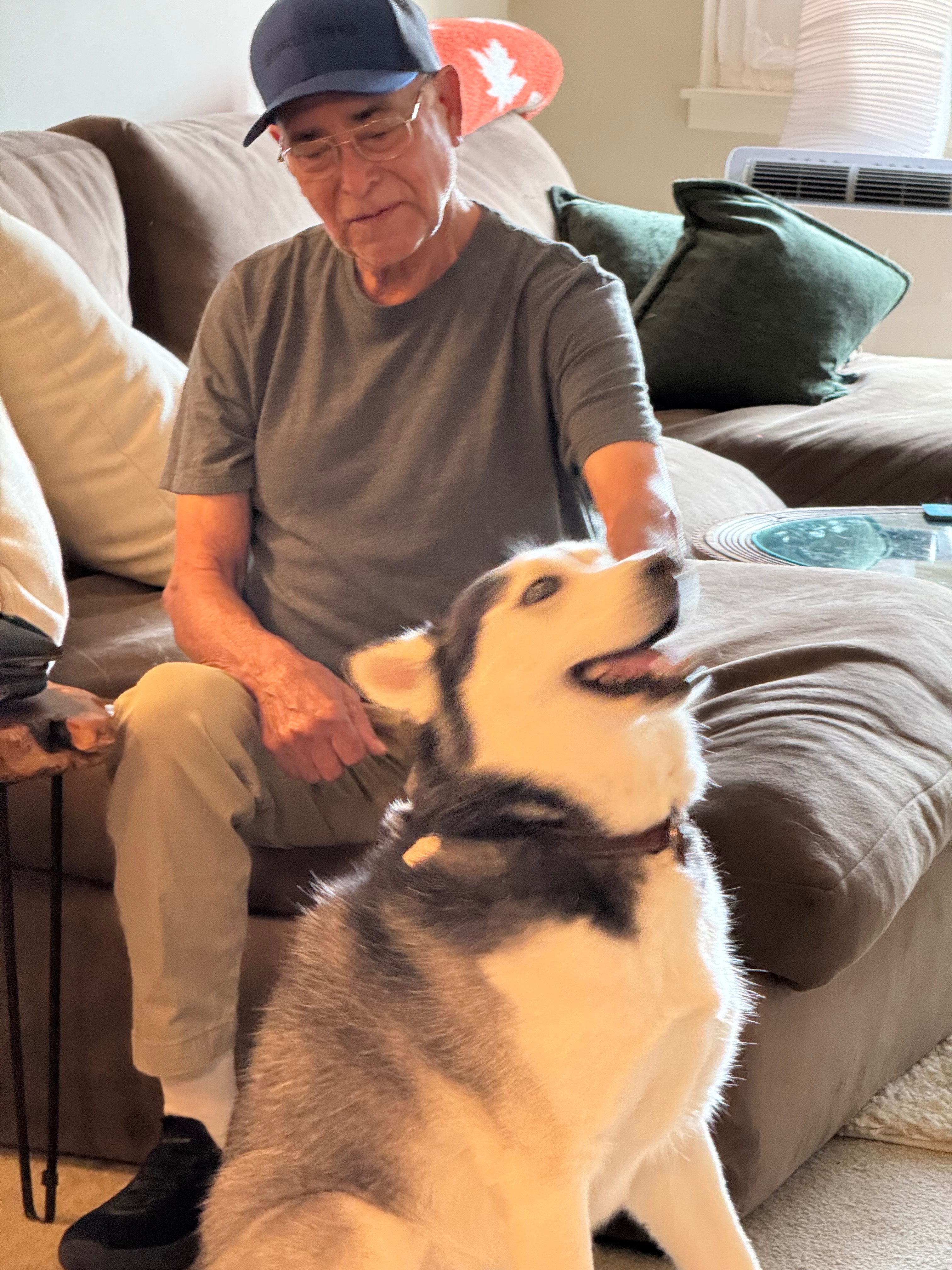 Help With Scam Recovery Loss campaign photo, 2 of 6