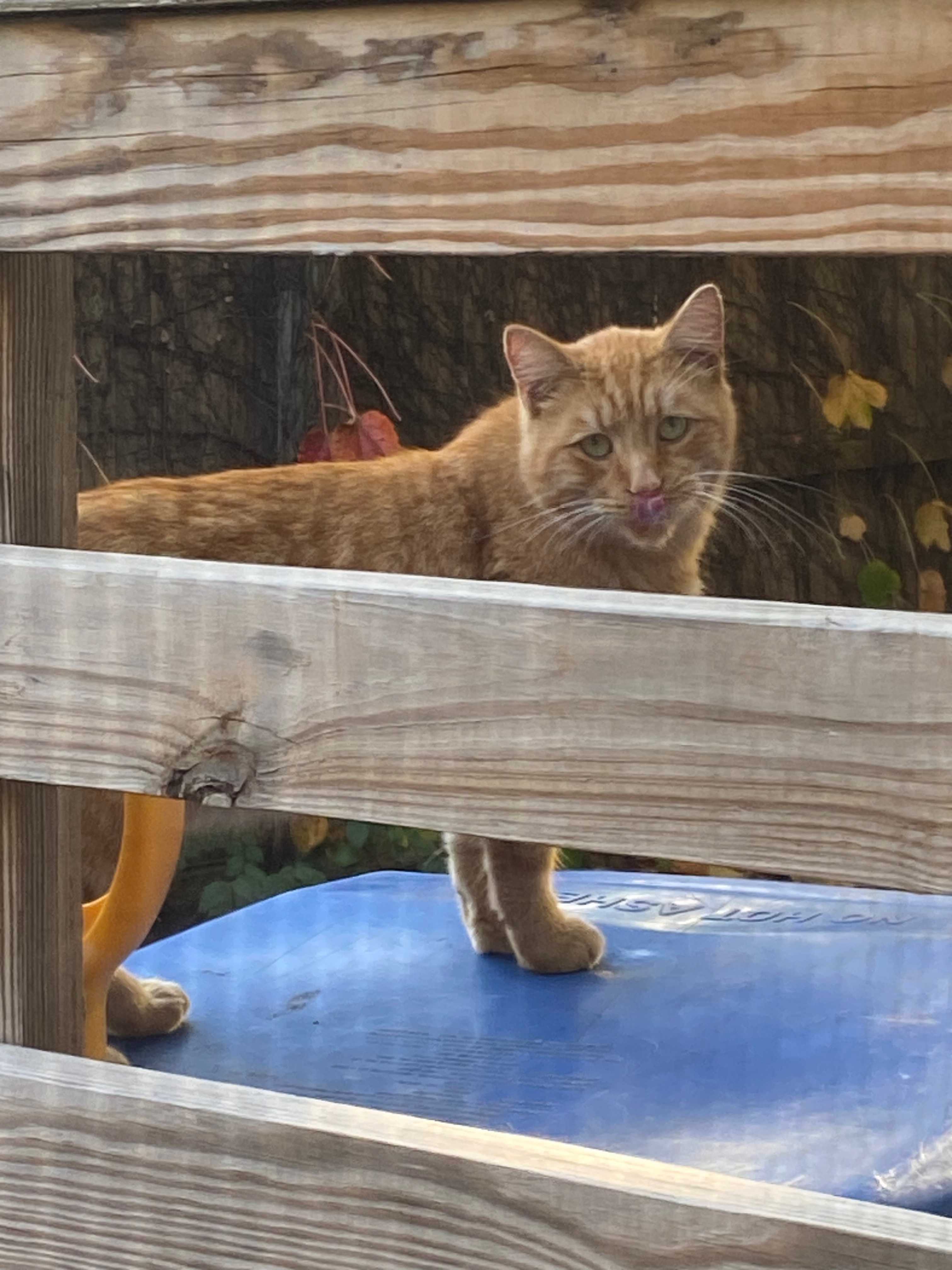 User-uploaded image 1