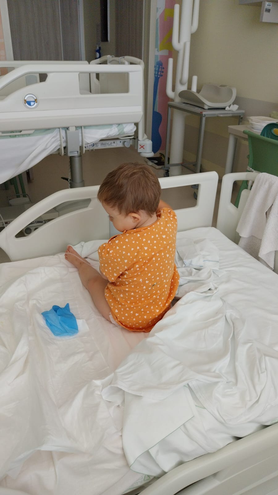 User-uploaded image 2