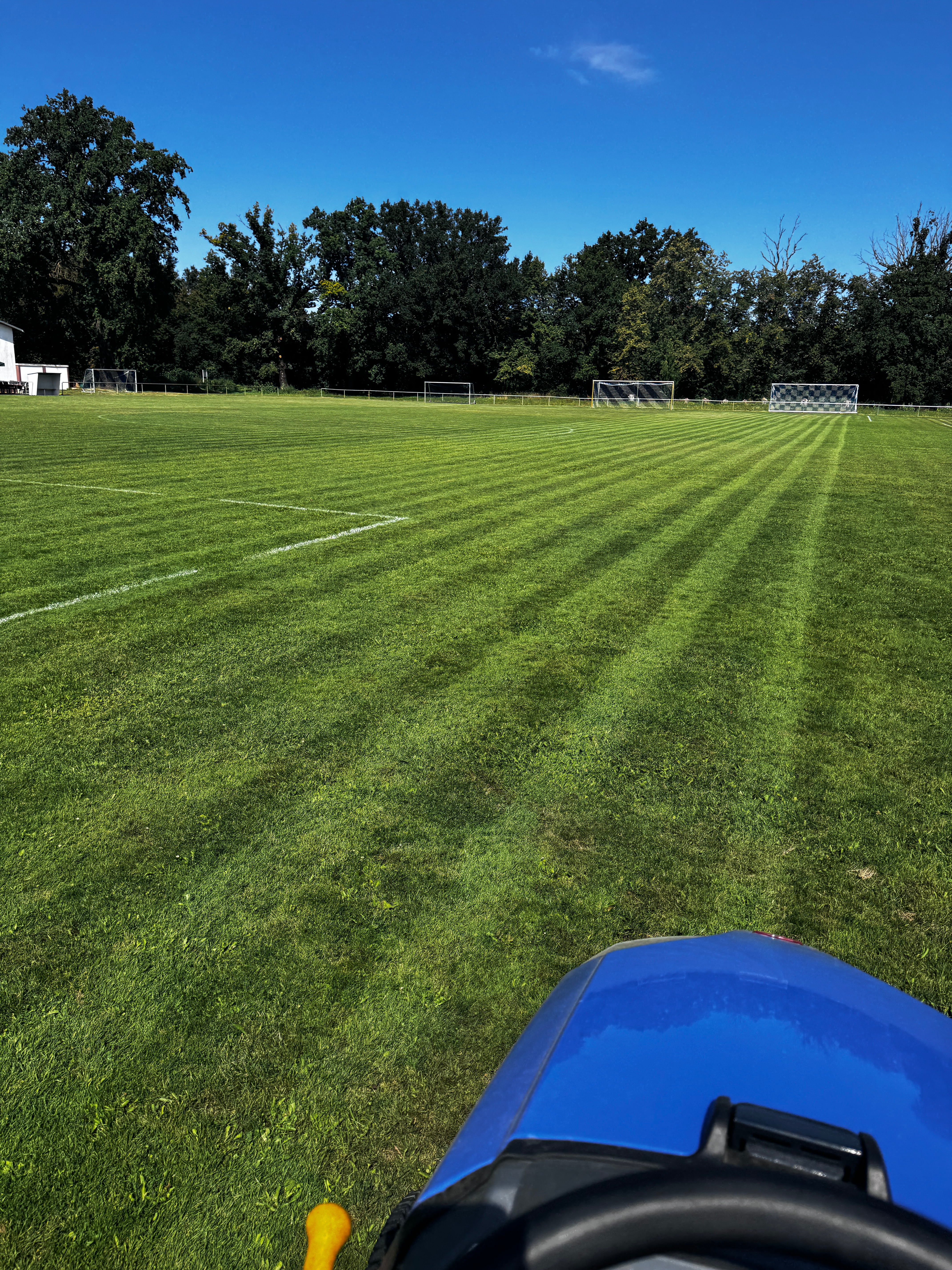 Modernisierung der Sportanlage Am Luisium campaign photo, 4 of 5