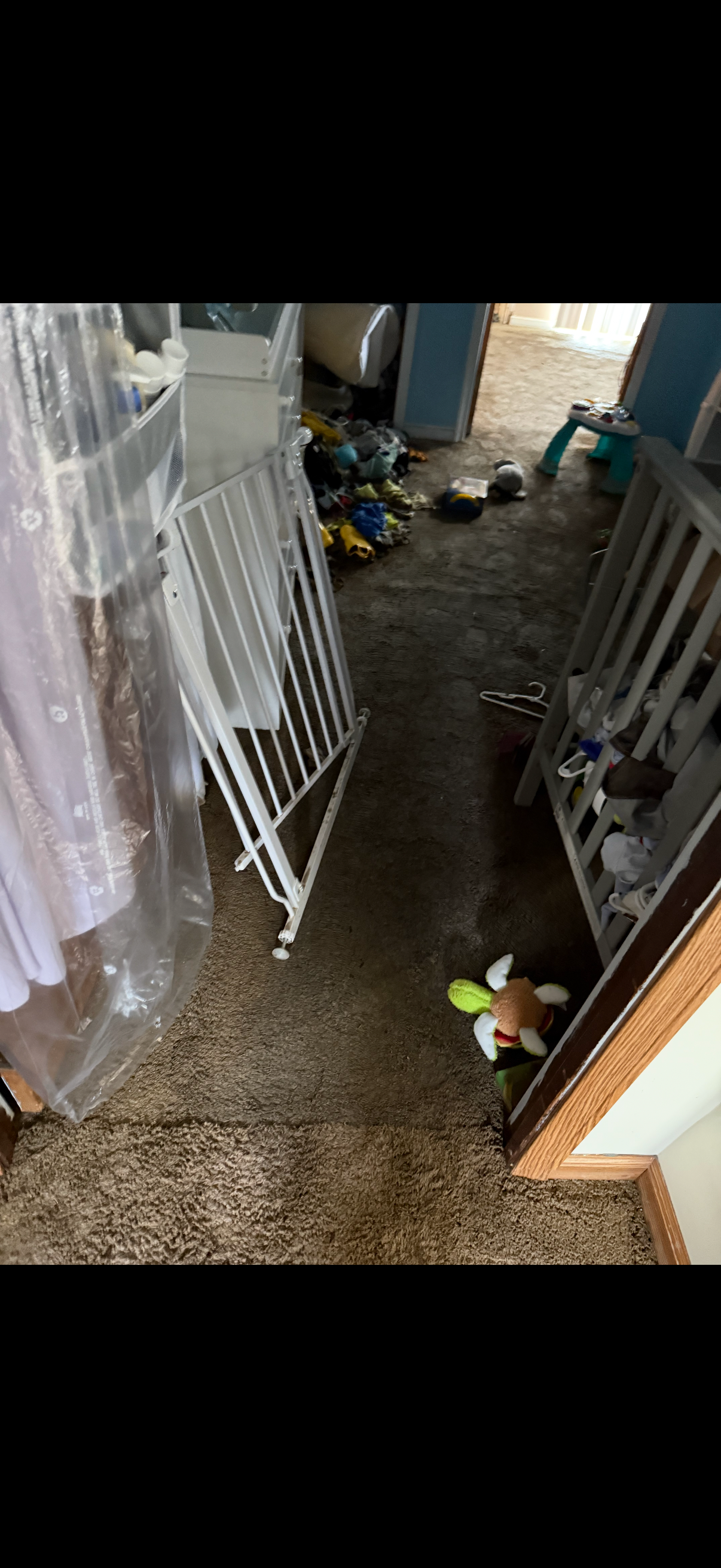 Help Us Recover from the Flood's Devastation campaign photo, 5 of 8