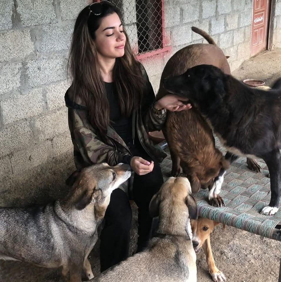 Help WE ARE ONE Save Vulnerable Animals in PAKISTAN! campaign photo, 5 of 8
