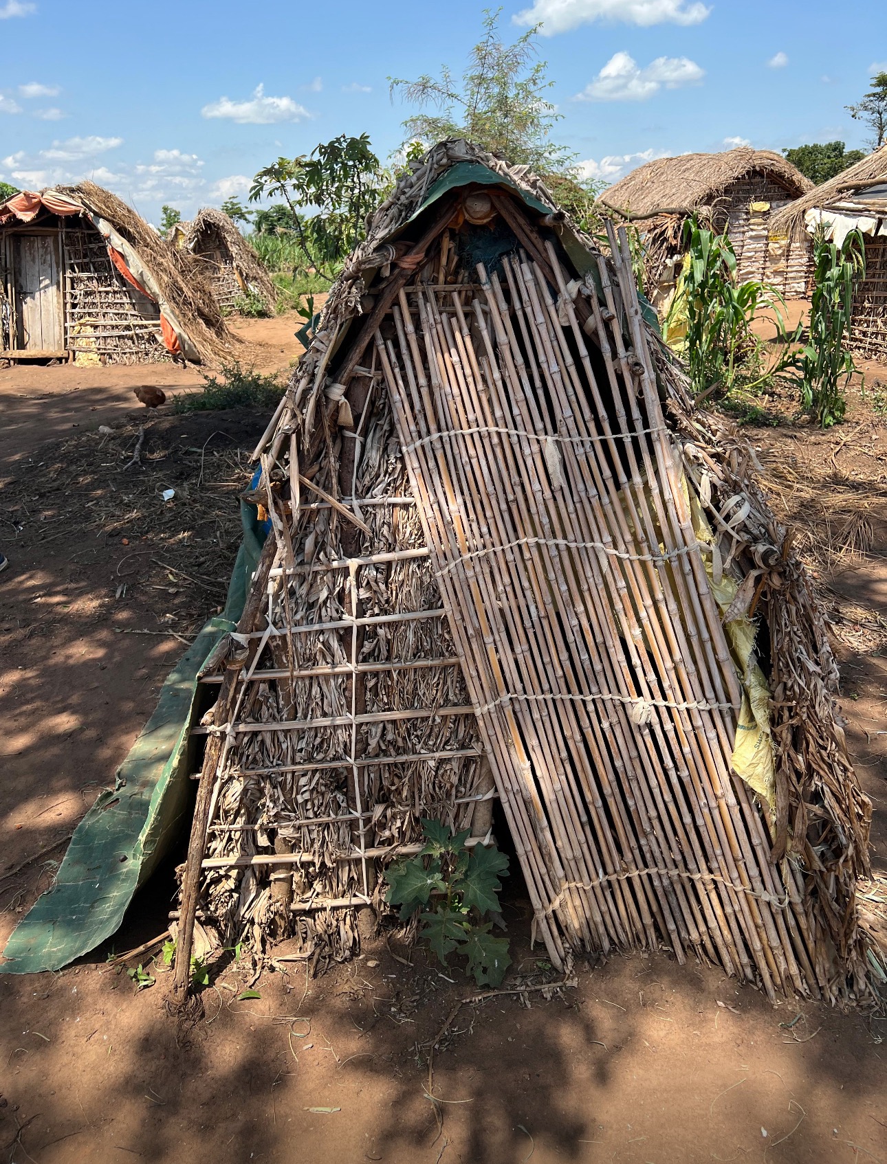 Dignity Through Food: Food Packs for Kikuube IDP Families campaign photo, 2 of 7