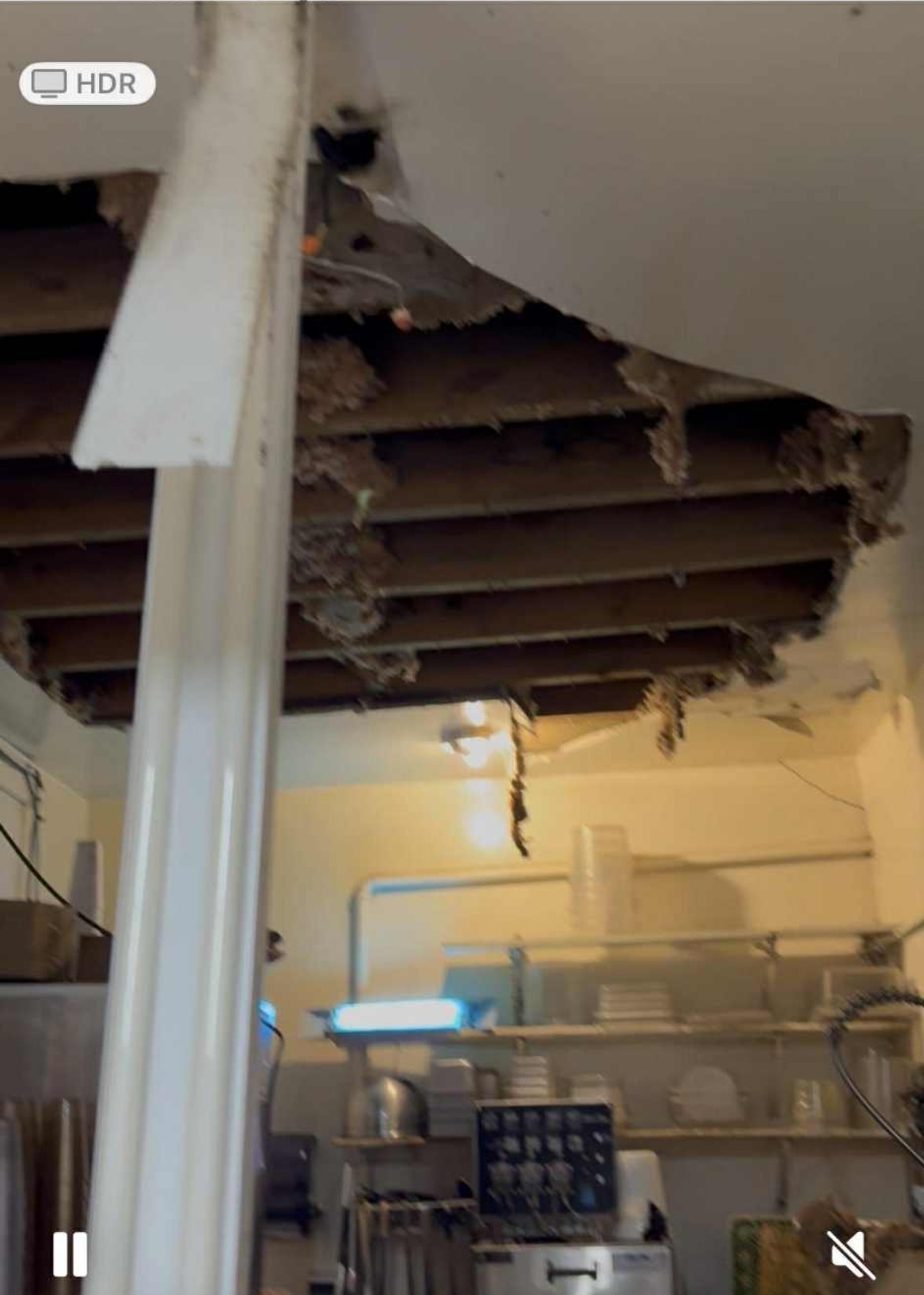 User-uploaded image 2