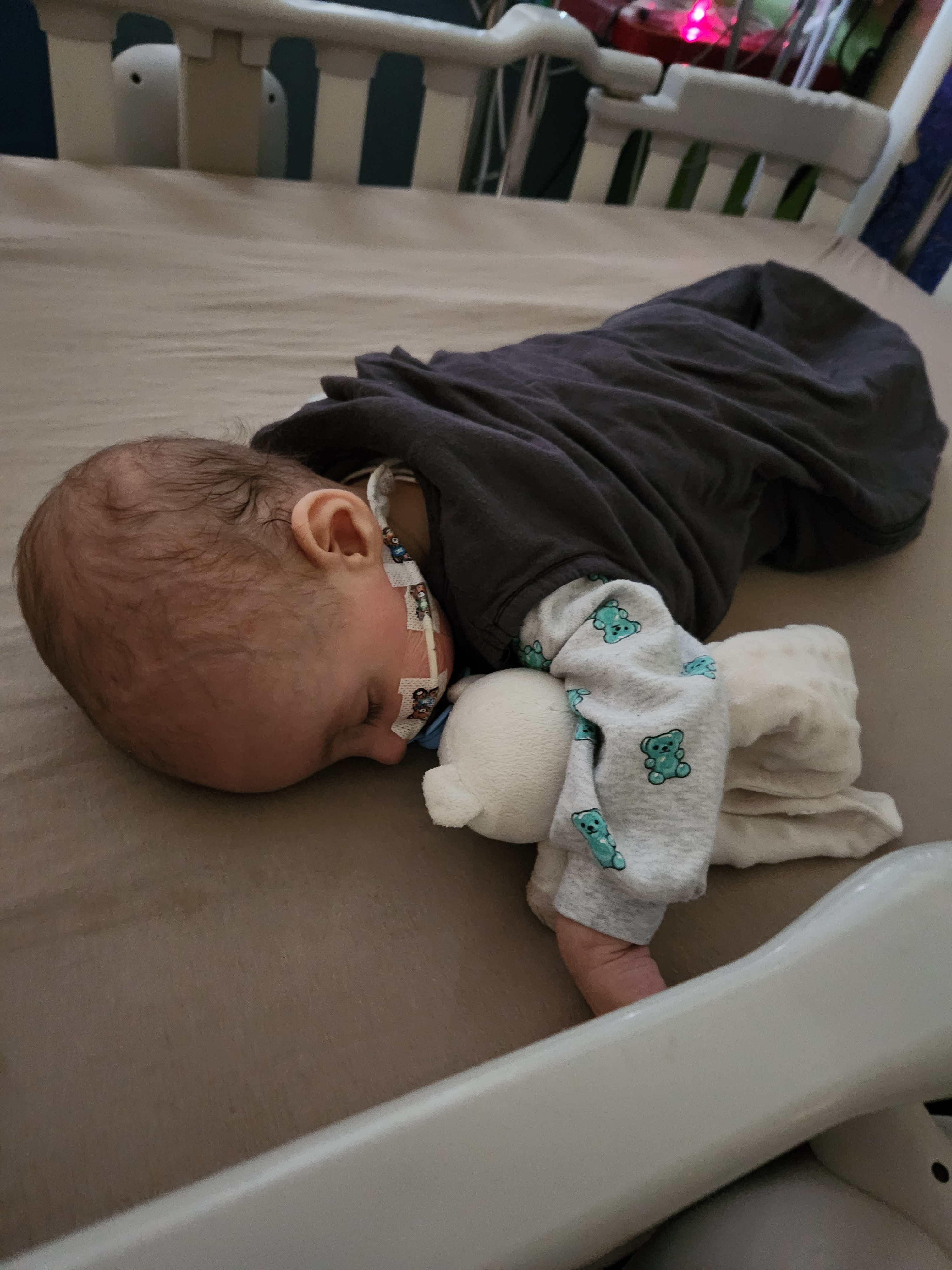 User-uploaded image 2