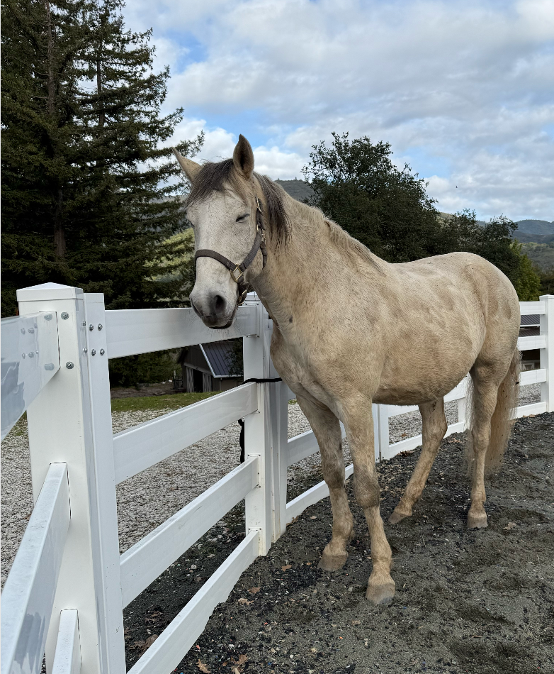 Ghost's Journey: From Stage to Healing campaign photo, 4 of 5