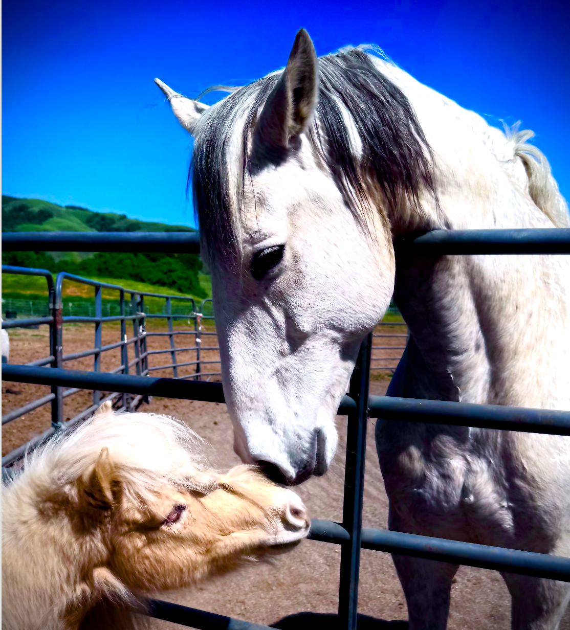 Ghost's Journey: From Stage to Healing campaign photo, 2 of 5