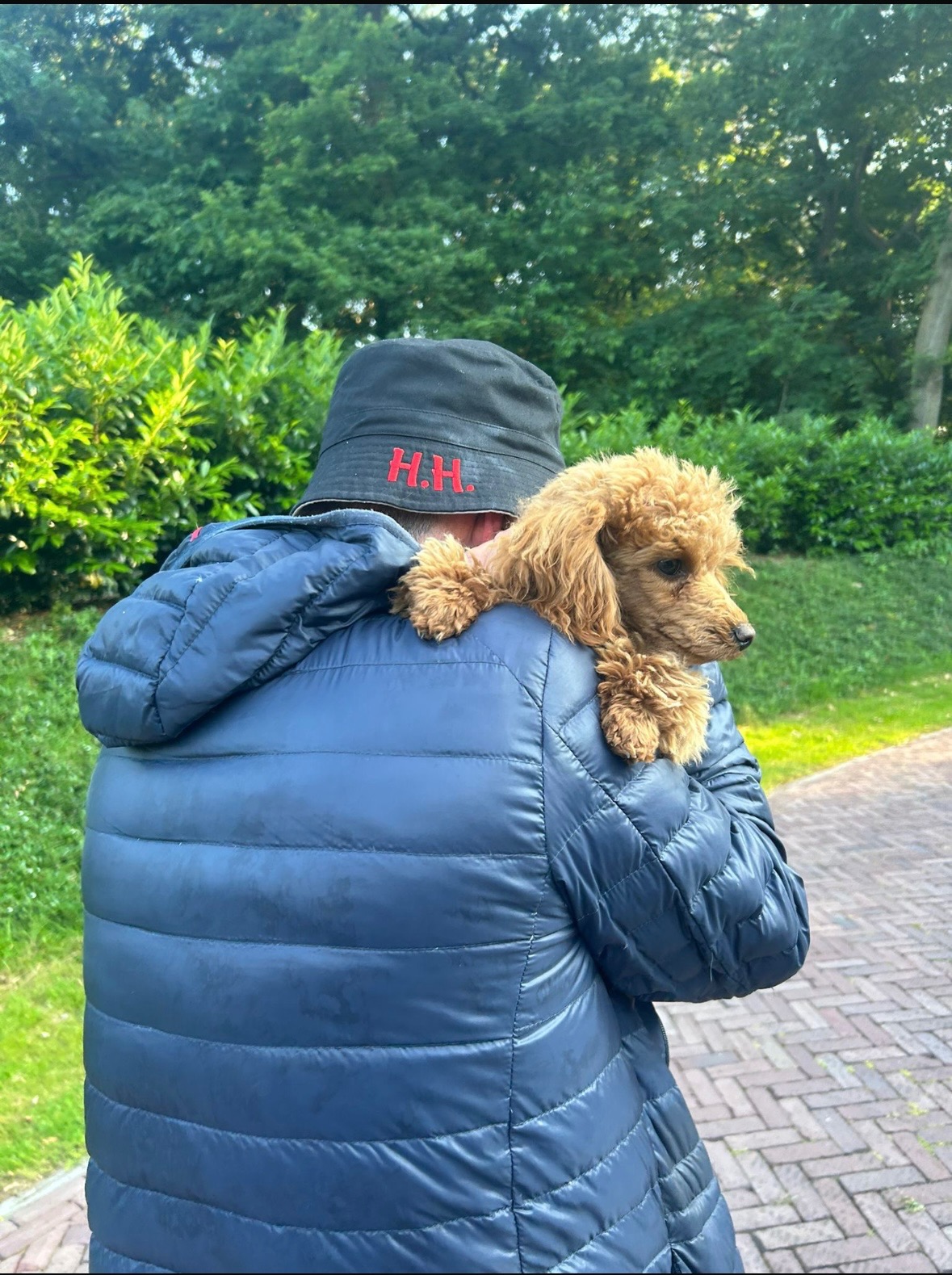 Stichting zoekteam vermiste honden Enschede campaign photo, 4 of 7