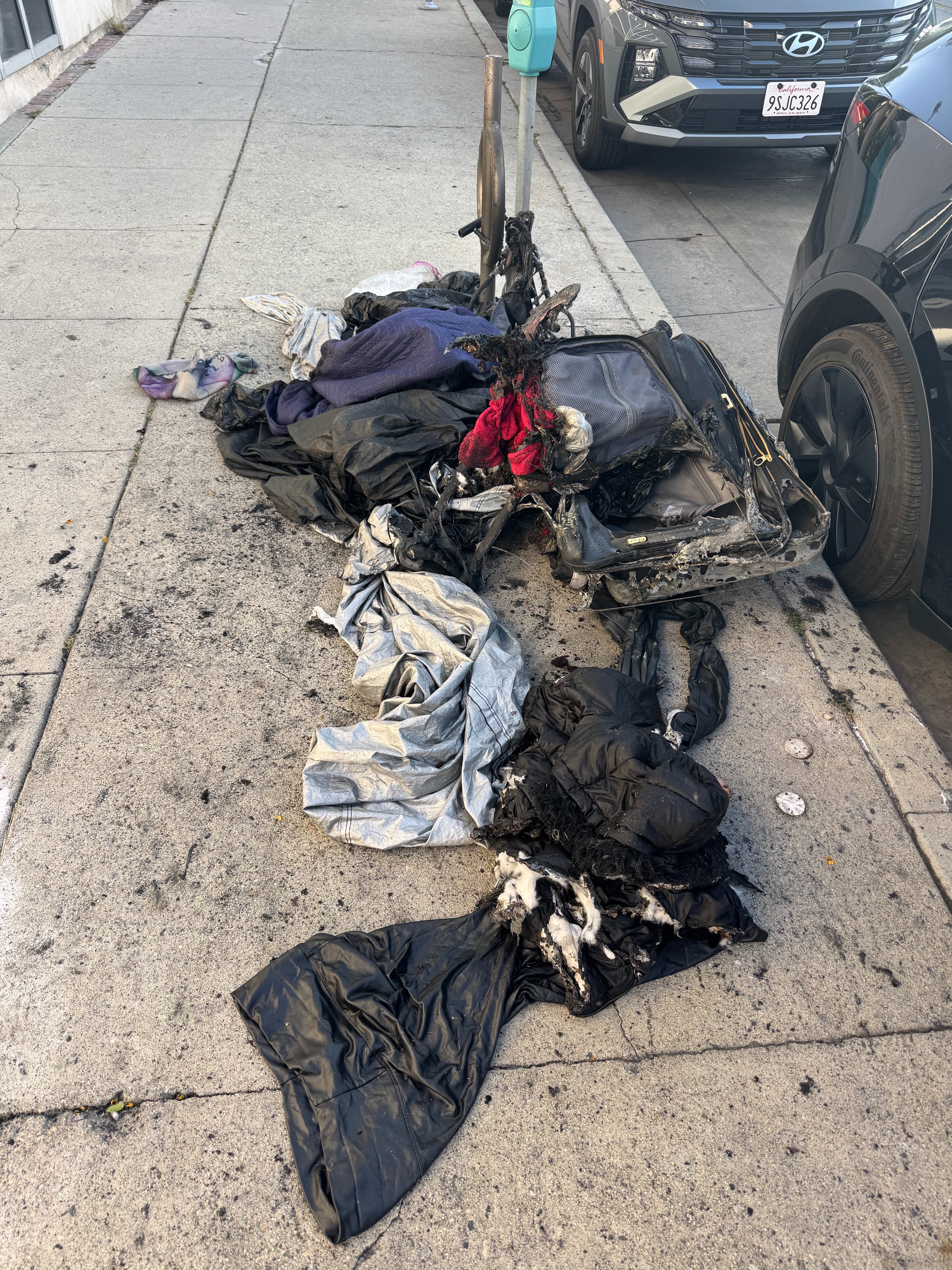 User-uploaded image 1