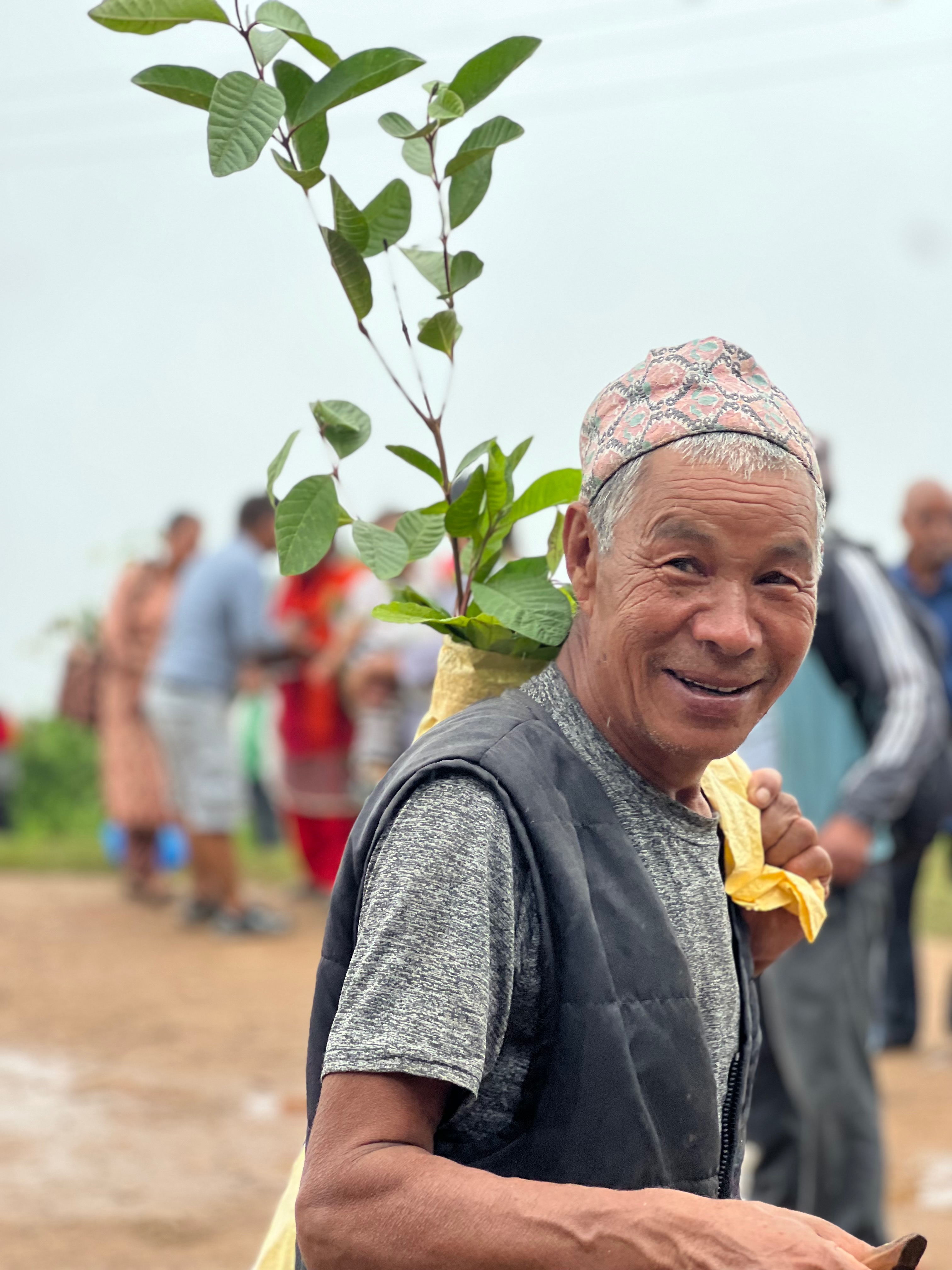 Fundraiser by Raju Lama : Plant trees Plant hope. Combat Climate Change.