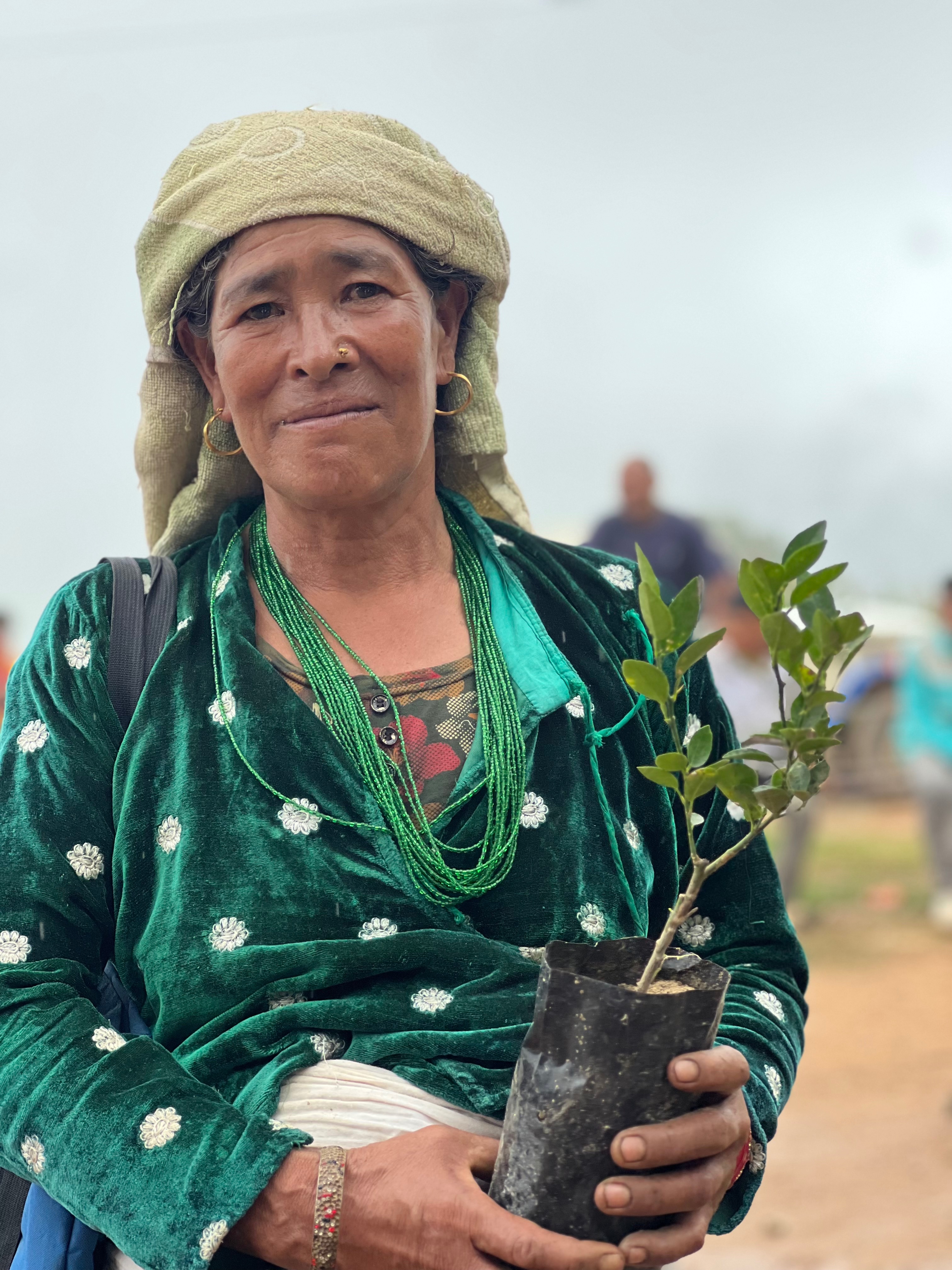 Fundraiser by Raju Lama : Plant trees Plant hope. Combat Climate Change.