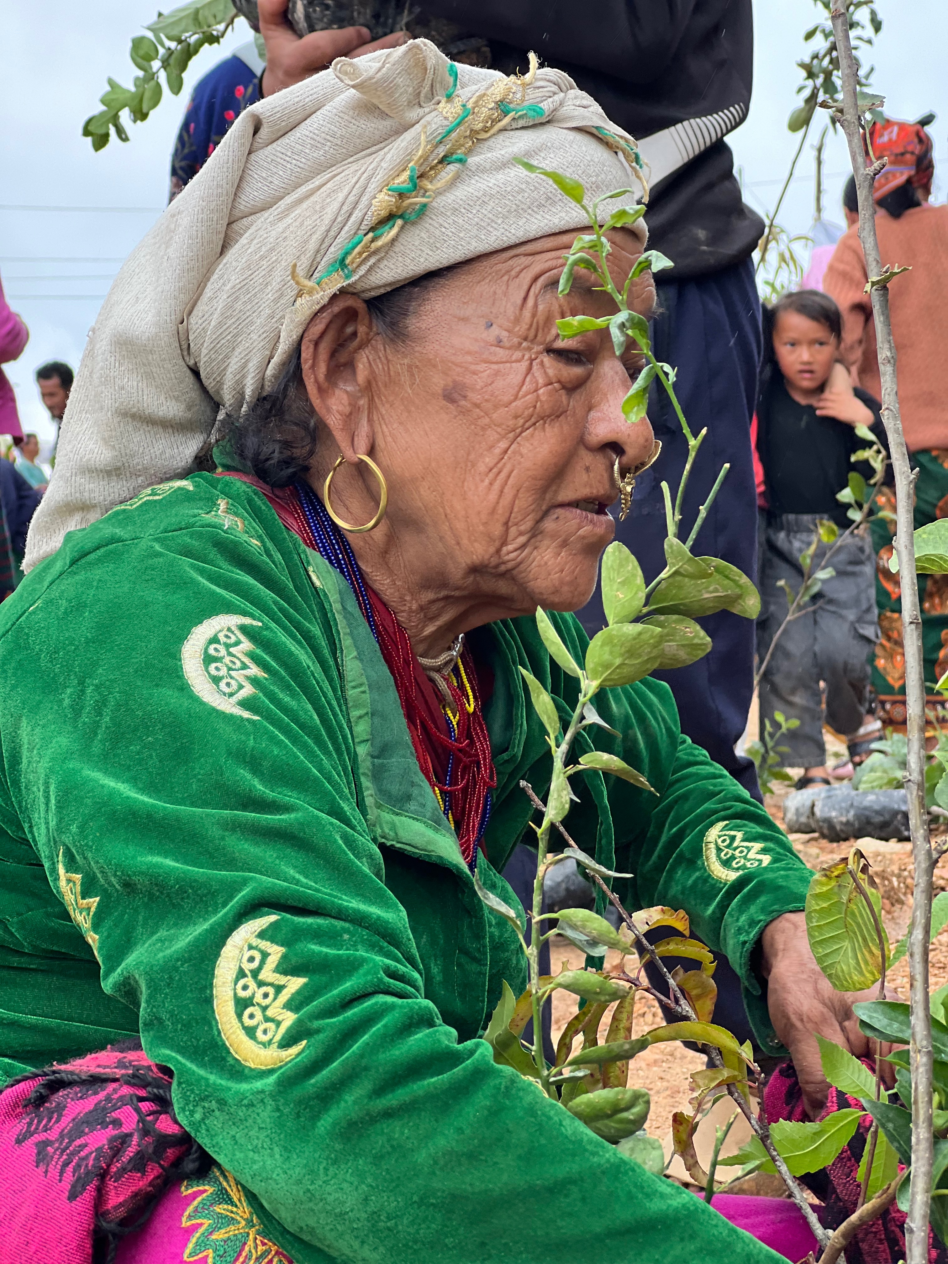 Fundraiser by Raju Lama : Plant trees Plant hope. Combat Climate Change.