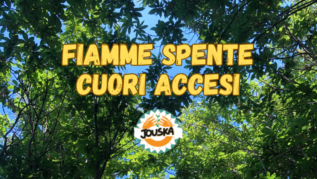 NON BRUCIA TUTTO. photo