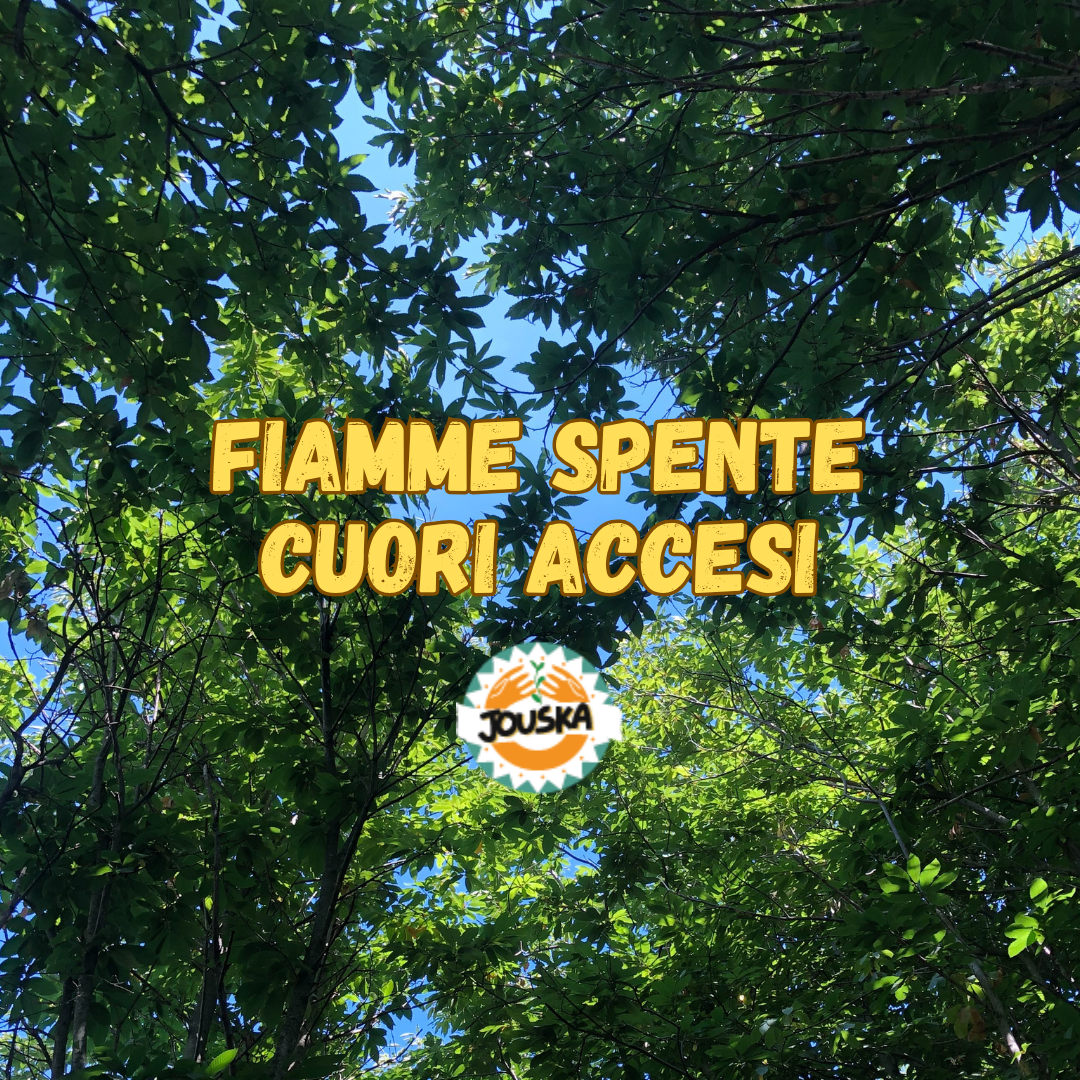 User-uploaded image 1