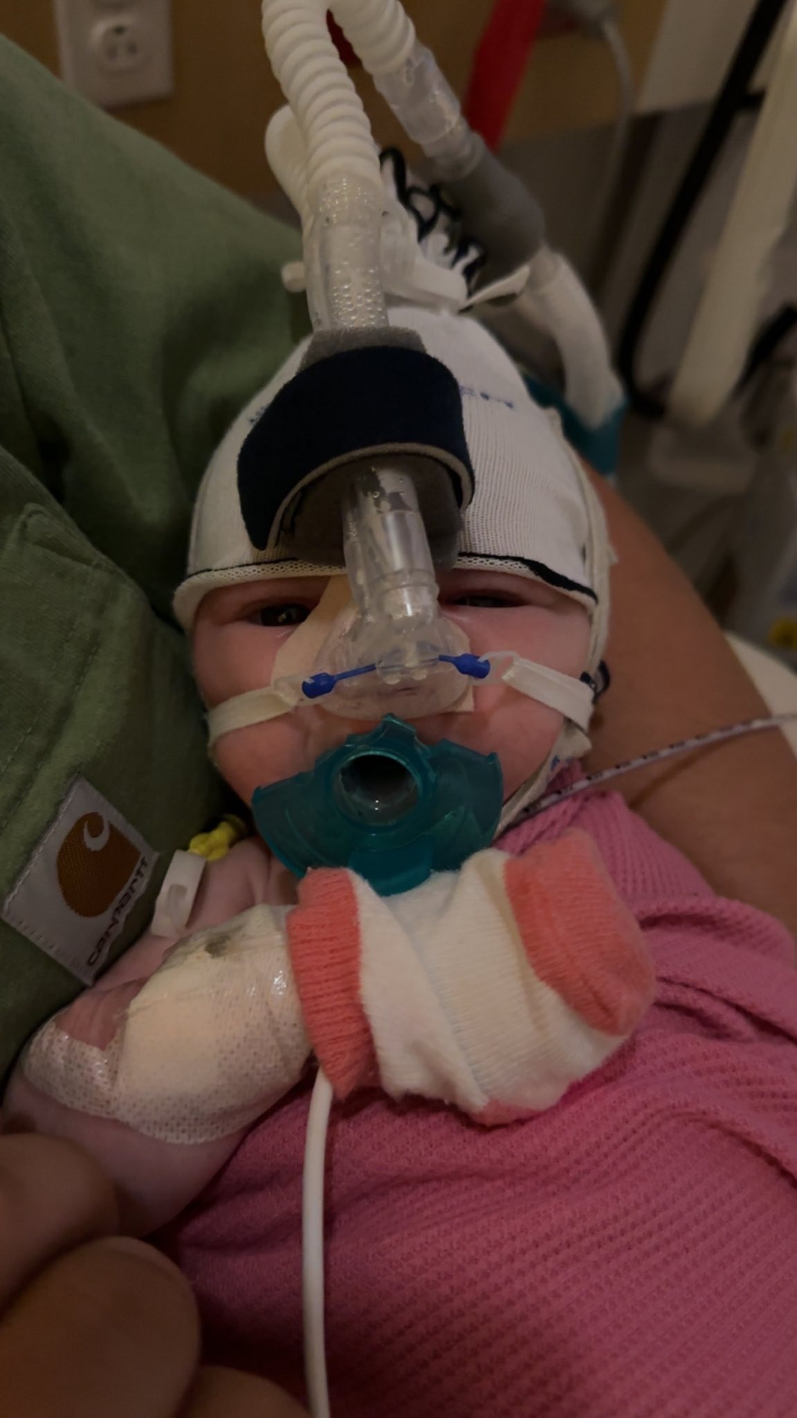 Join Hattie's Journey to Recovery campaign photo, 2 of 8