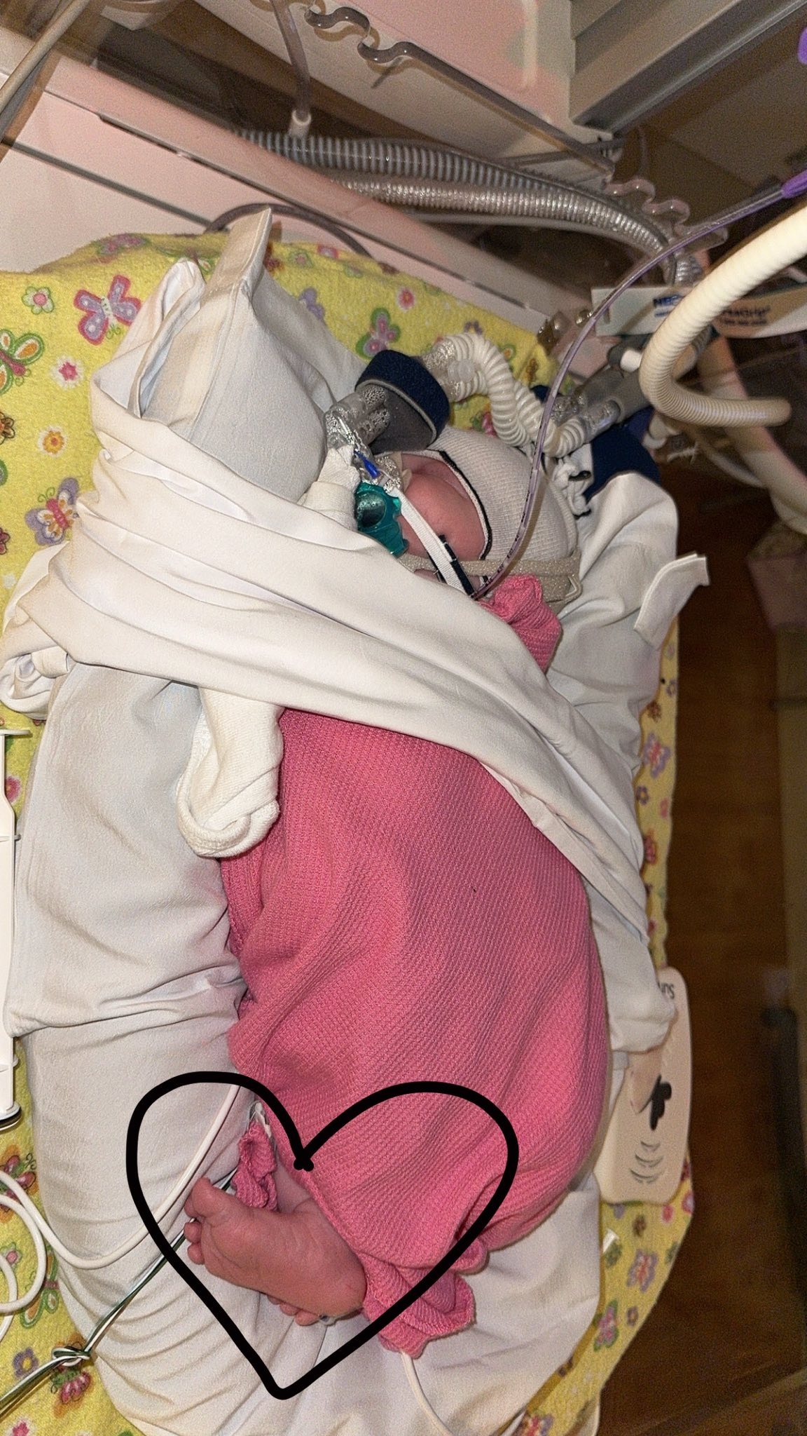 Join Hattie's Journey to Recovery campaign photo, 5 of 8