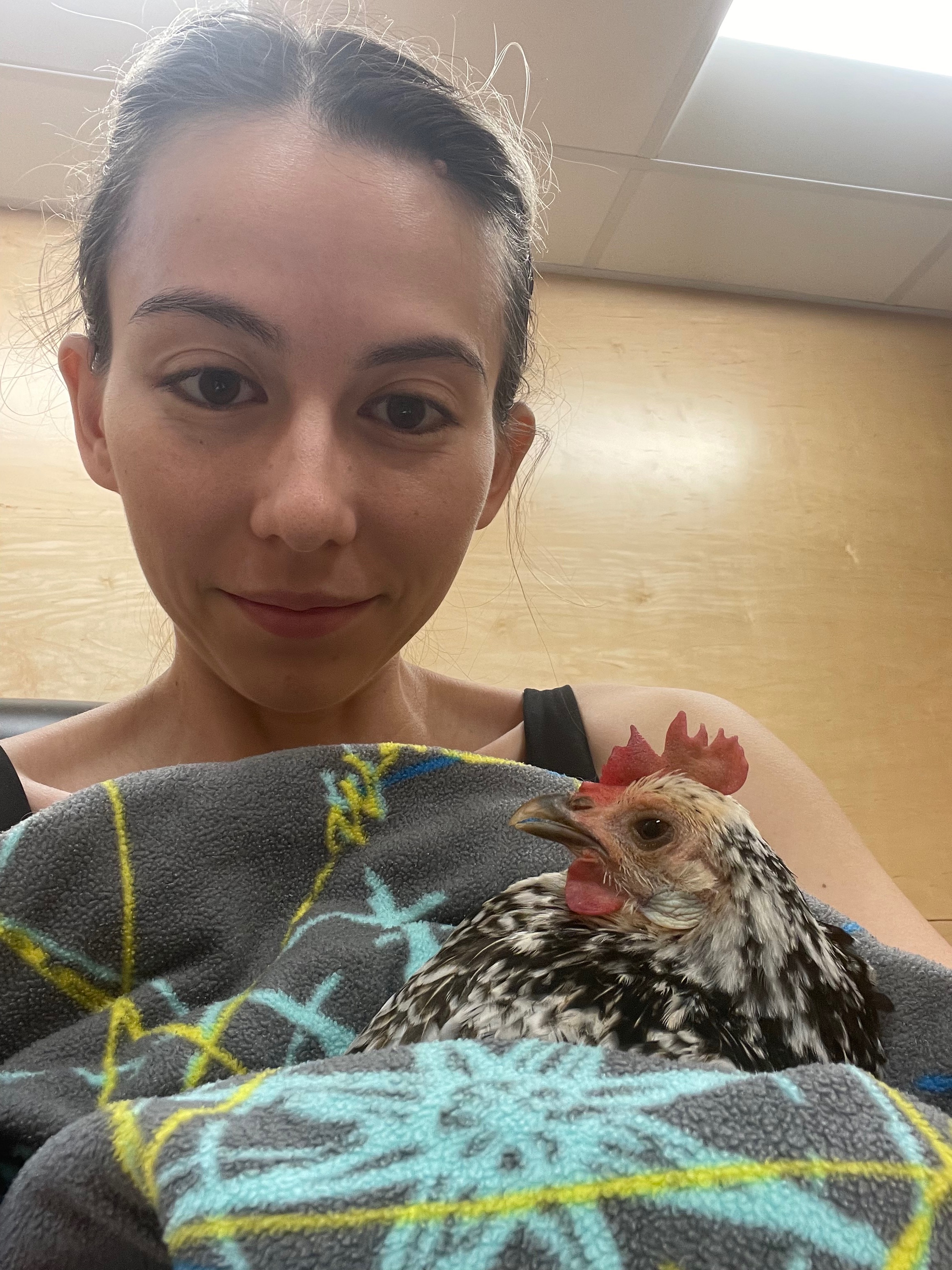 Support Miss Chicken's Journey to Recovery campaign photo, 7 of 8