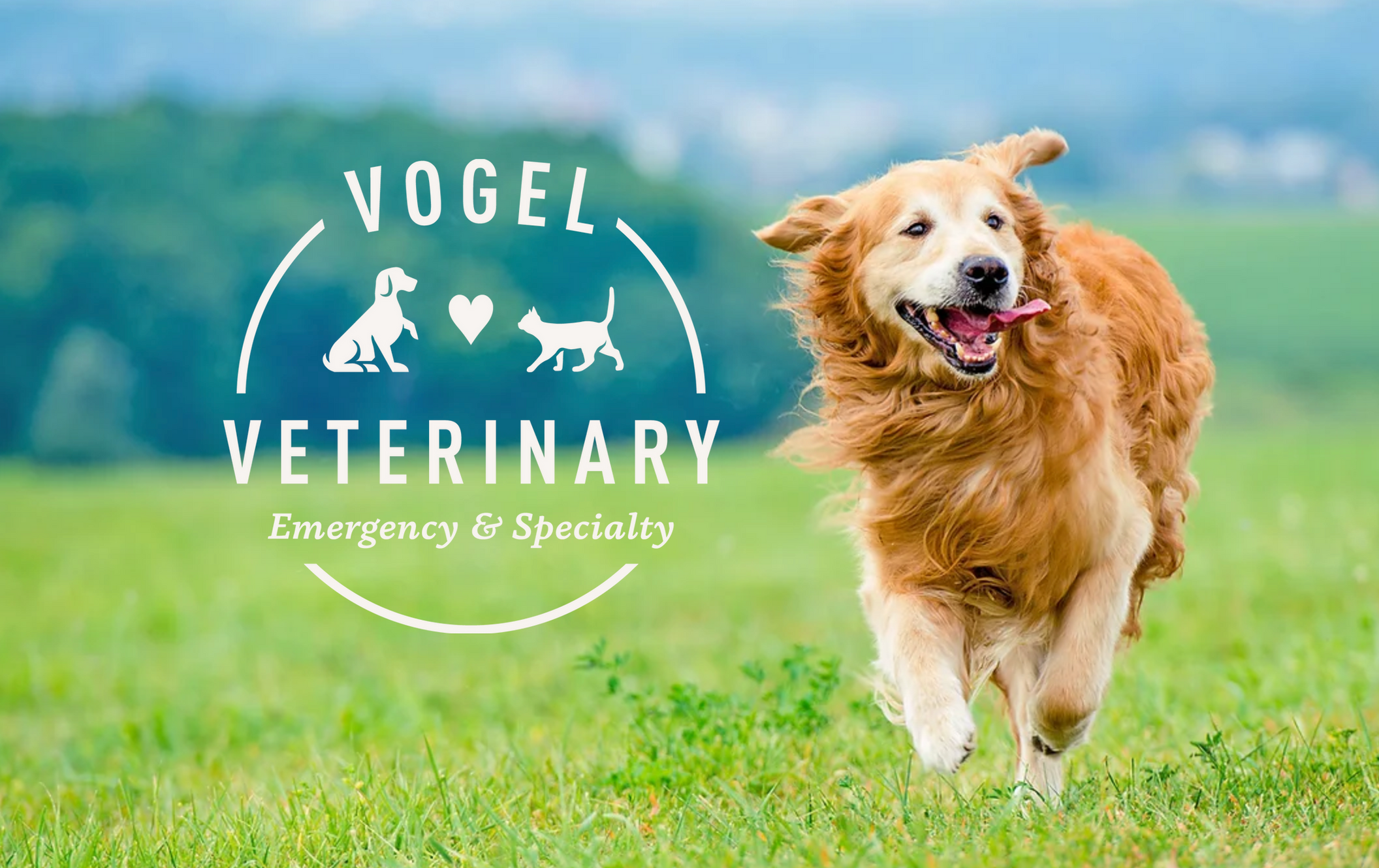 User-uploaded image 1