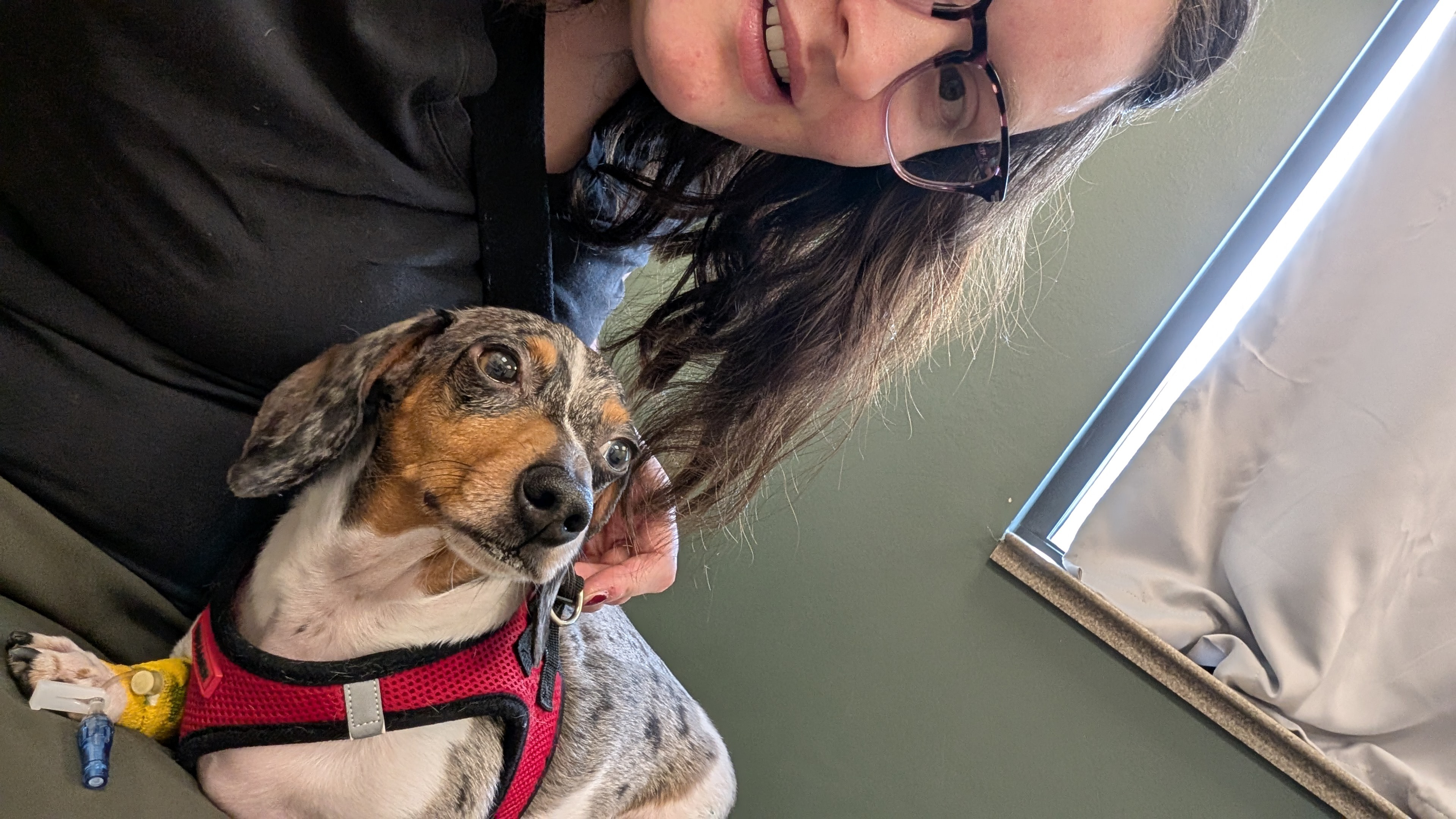 Gram's Emergency Surgery: Your Help Needed campaign photo, 4 of 8