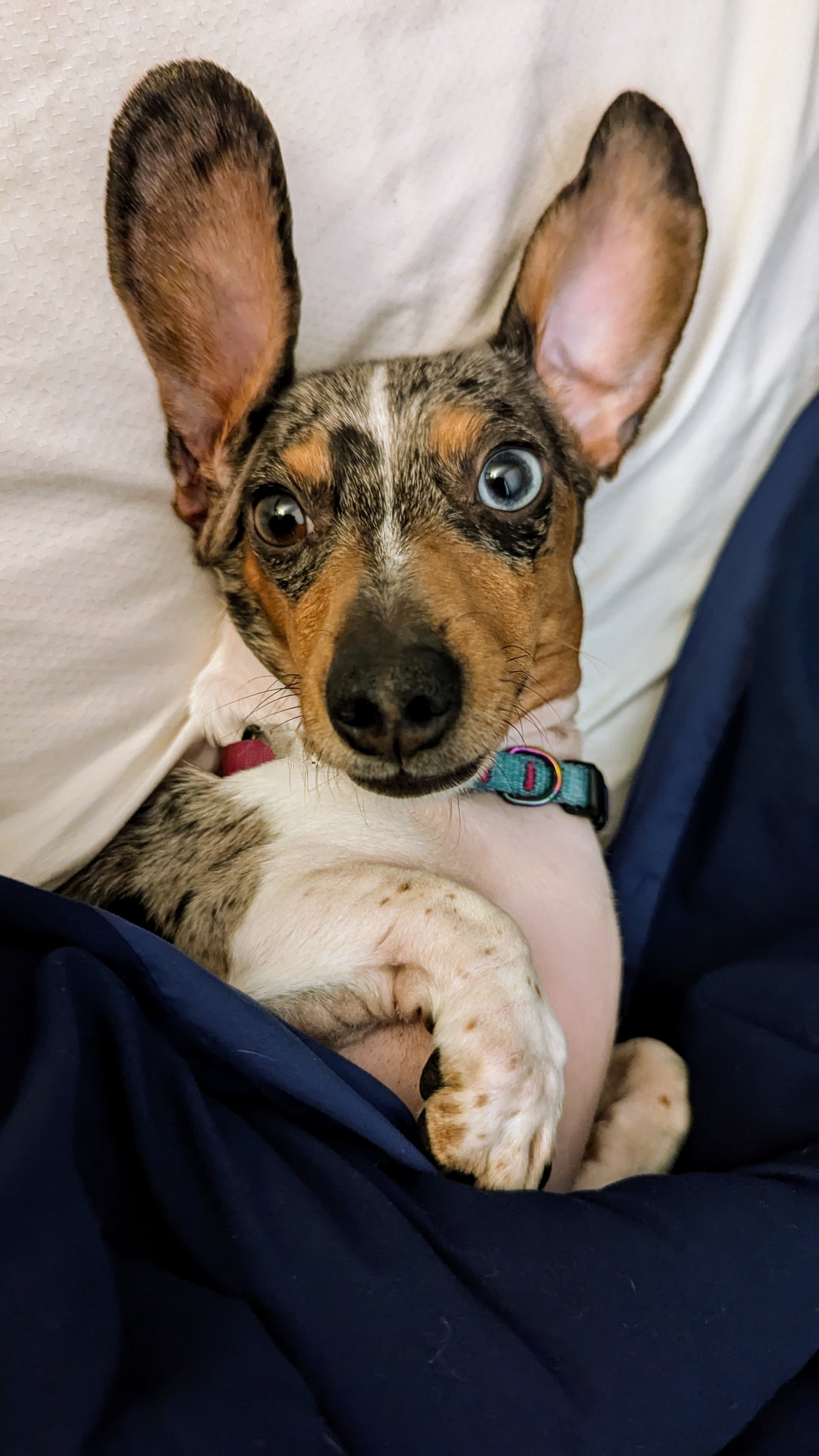 Gram's Emergency Surgery: Your Help Needed campaign photo, 6 of 8