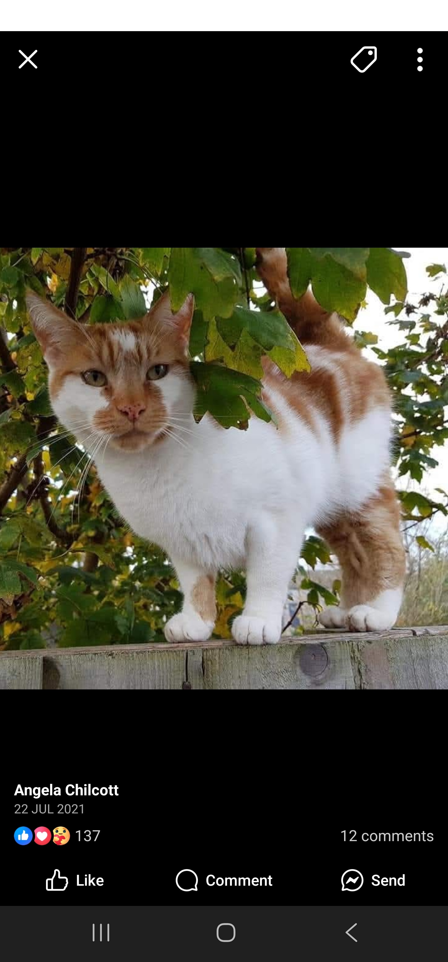 User-uploaded image 1