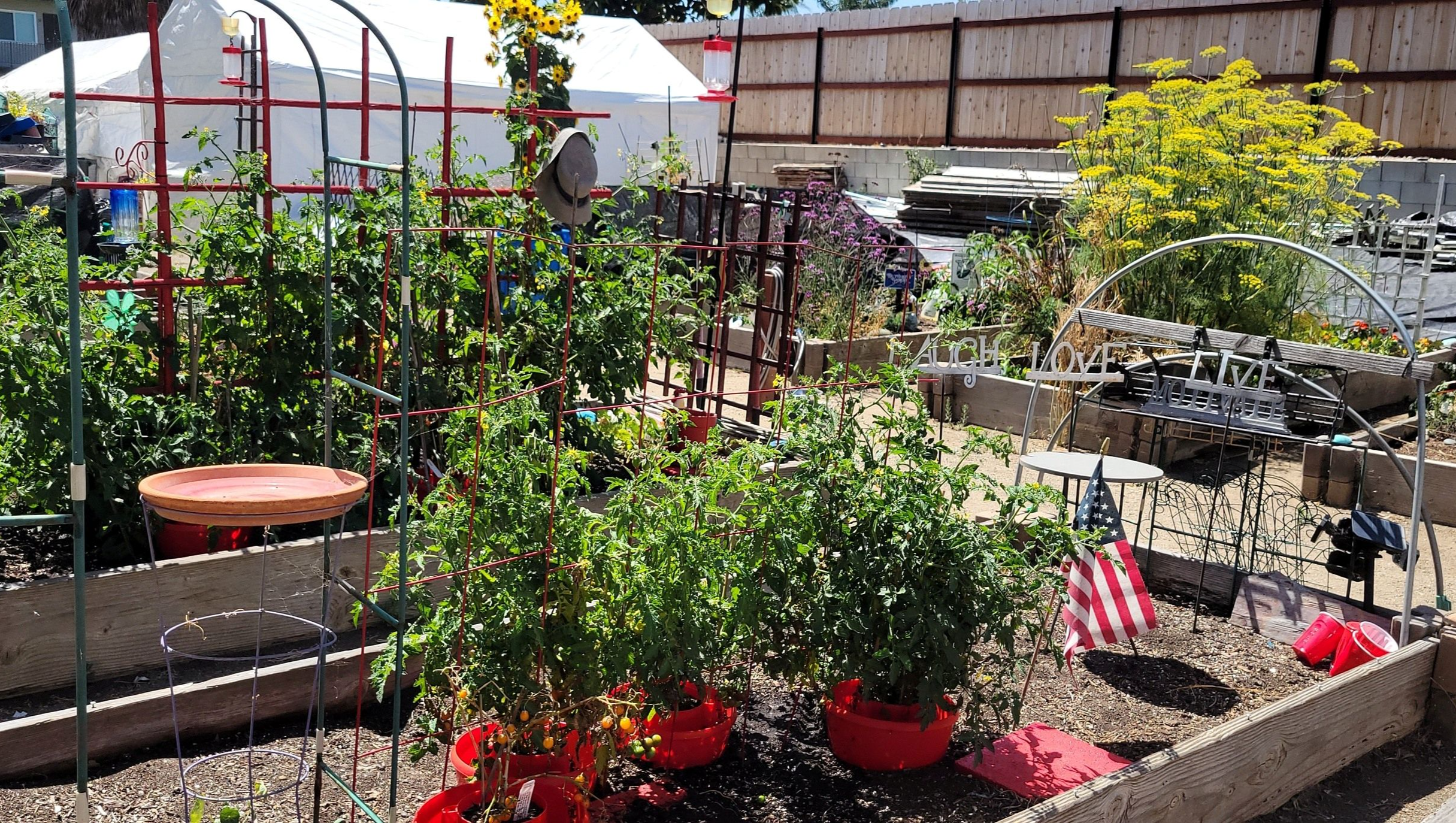 Relocation Costs - Mosaic Community Garden of Chula Vista photo