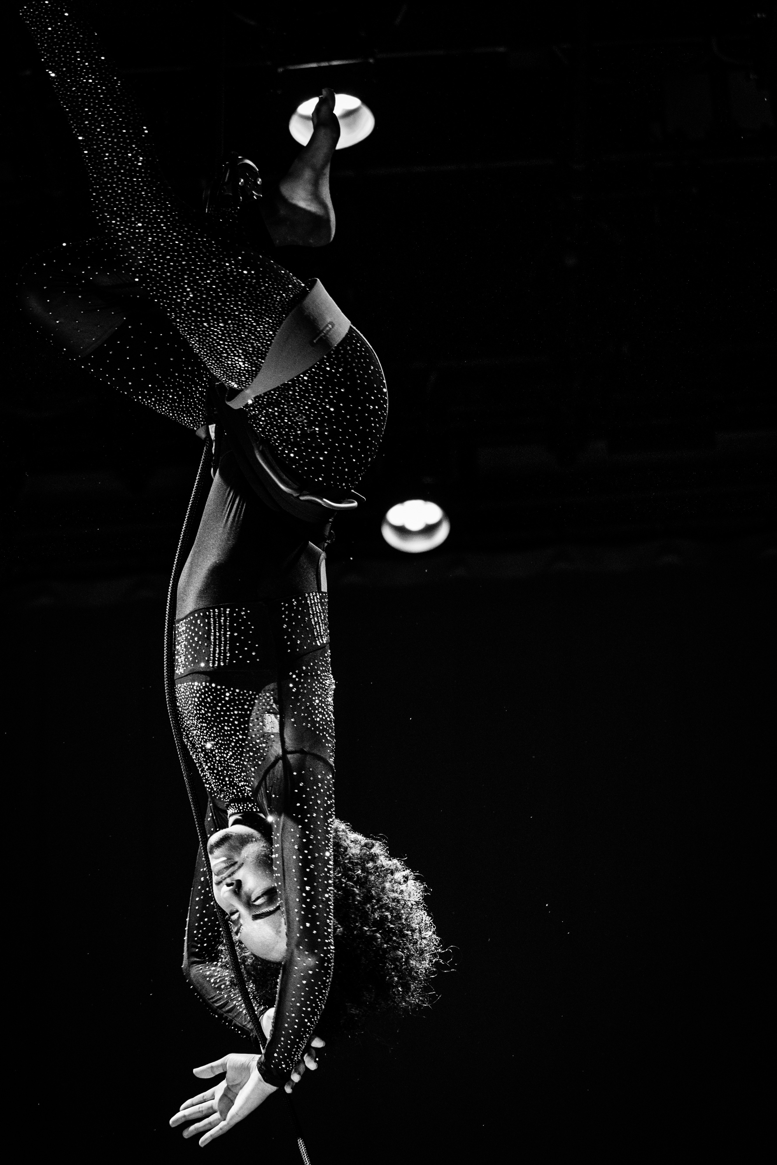 Help Major dance & grow in Vienna! campaign photo, 2 of 4