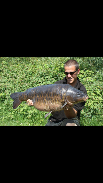 User-uploaded image 1