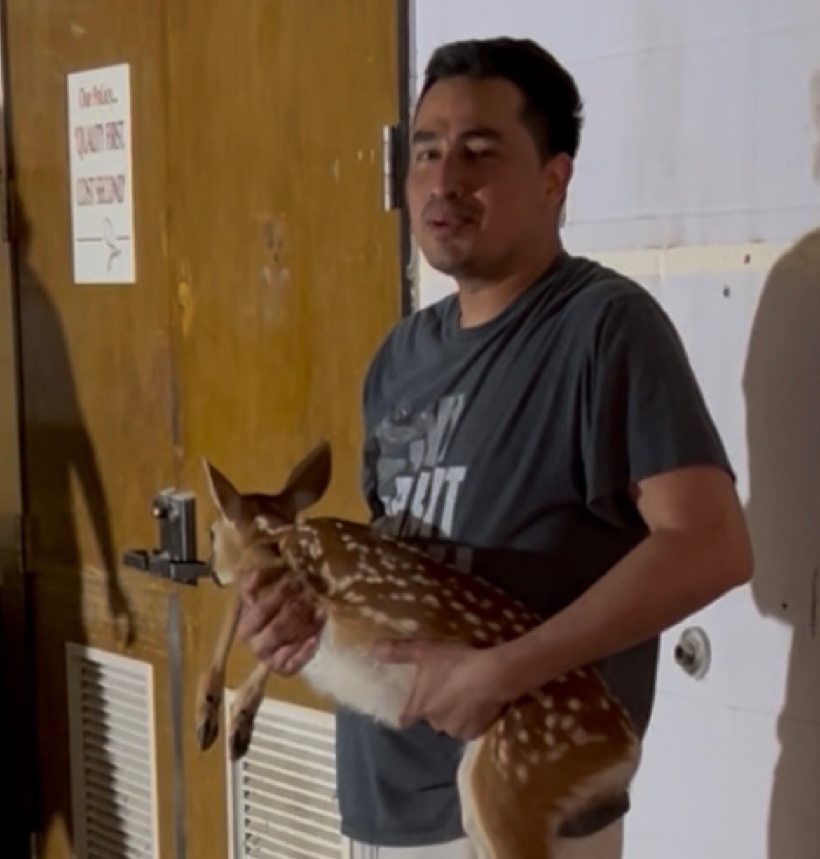 User-uploaded image 1