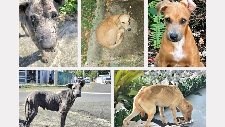 WE NEED TO MOVE AND WE NEED YOUR HELP TO DO SO