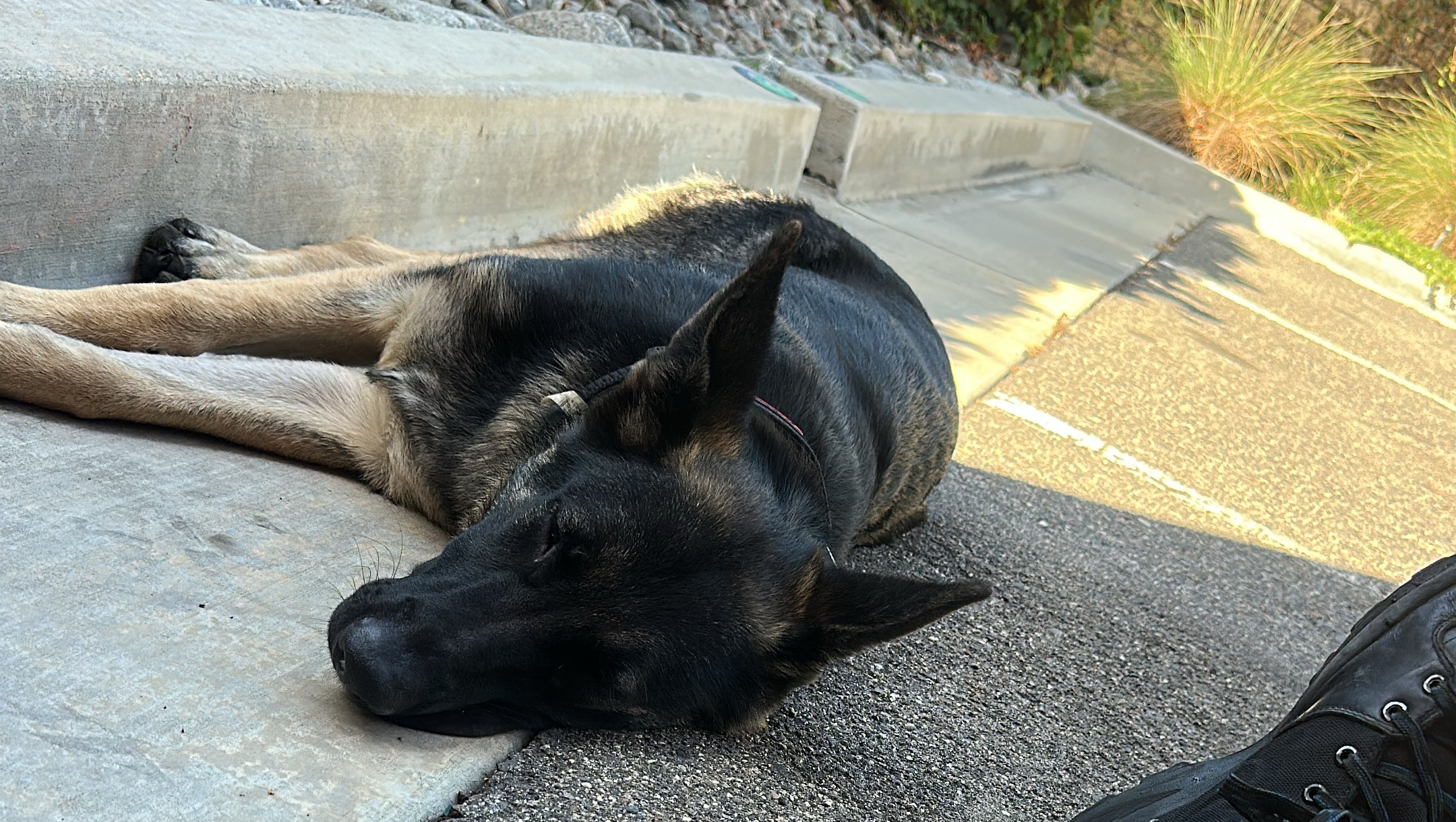 Lv & Frank Need Help (I Lost Everything) pinned link photo