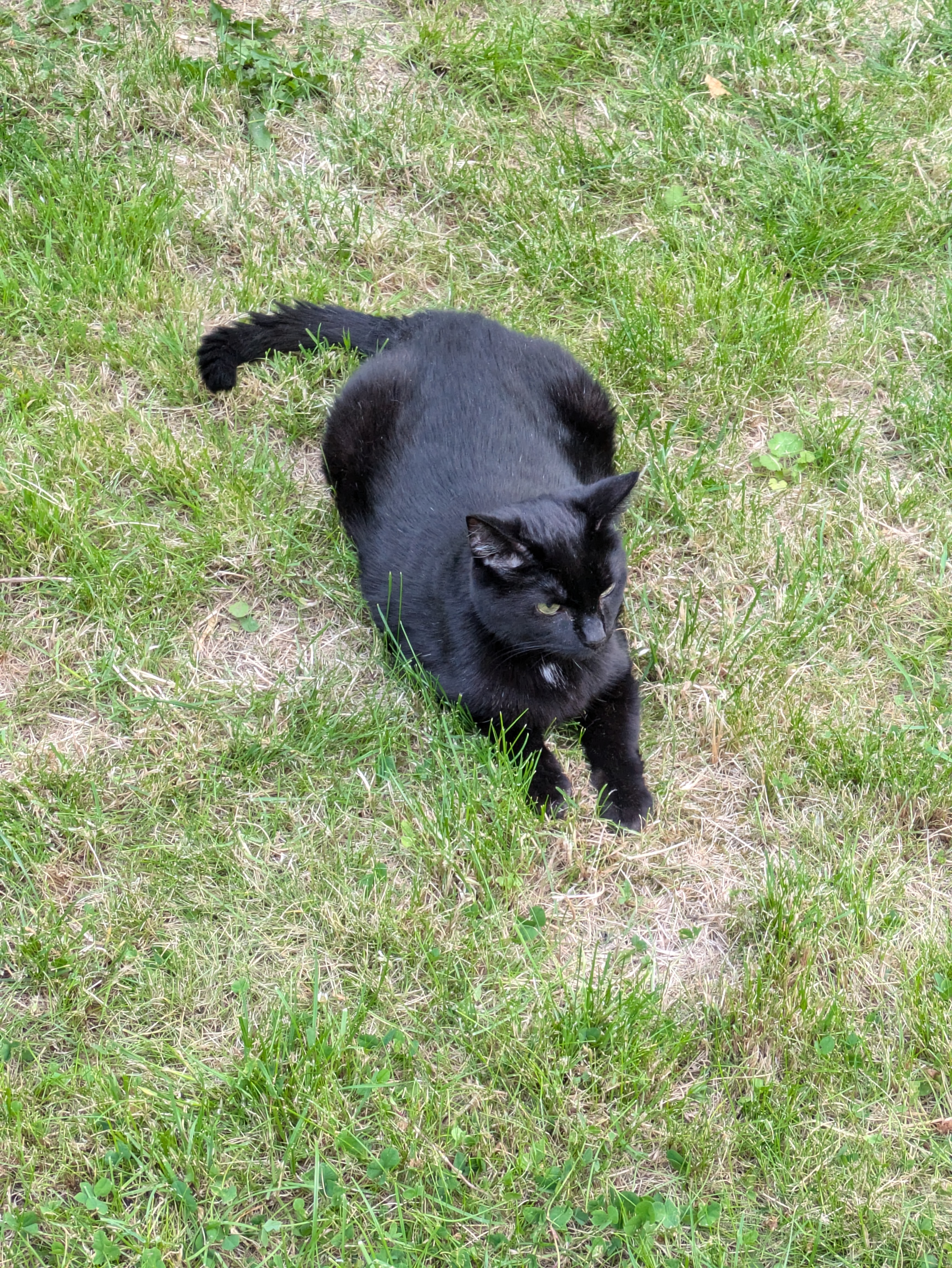 Go Fund Meep campaign photo, 7 of 8