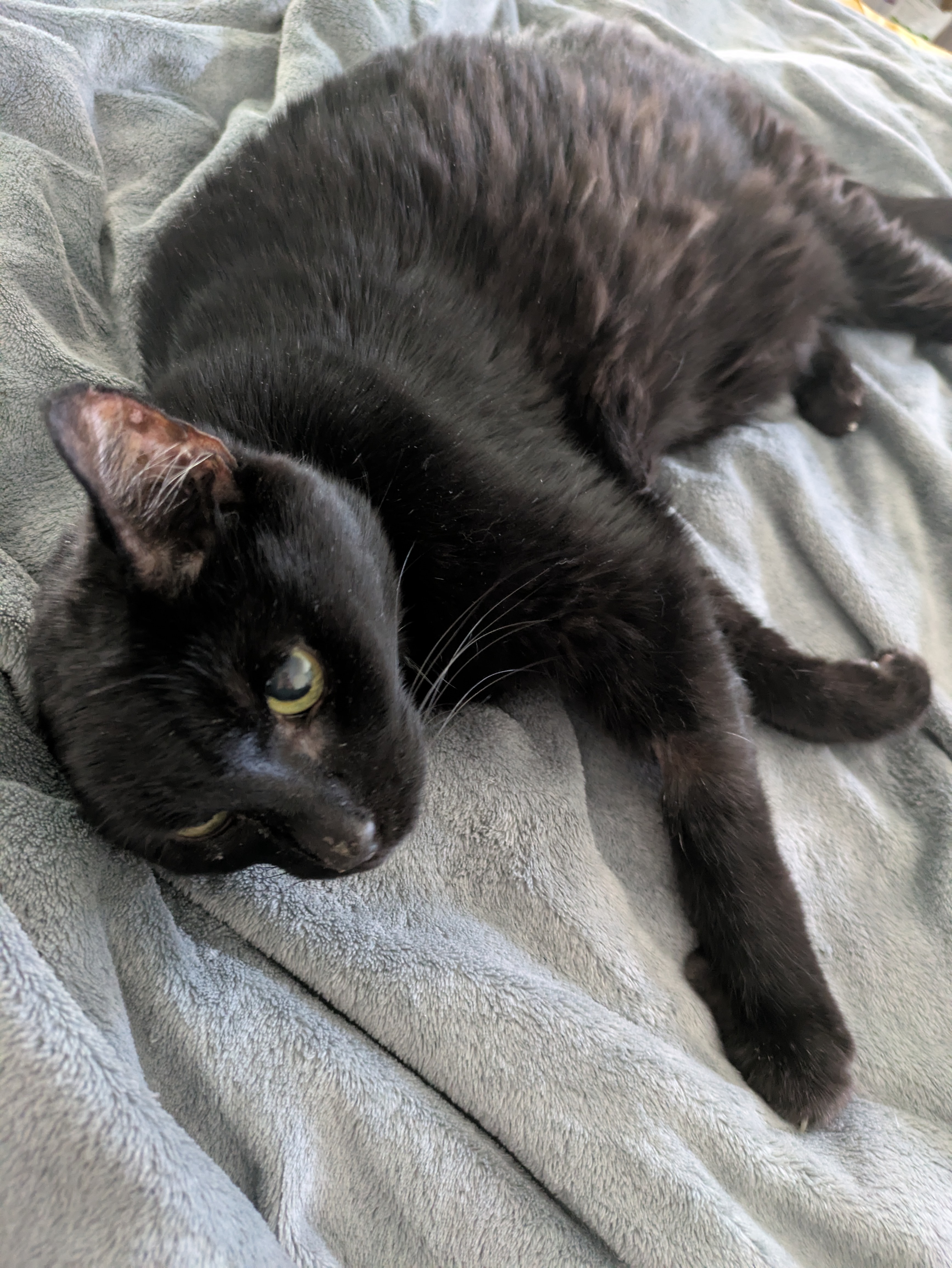 Go Fund Meep campaign photo, 4 of 8