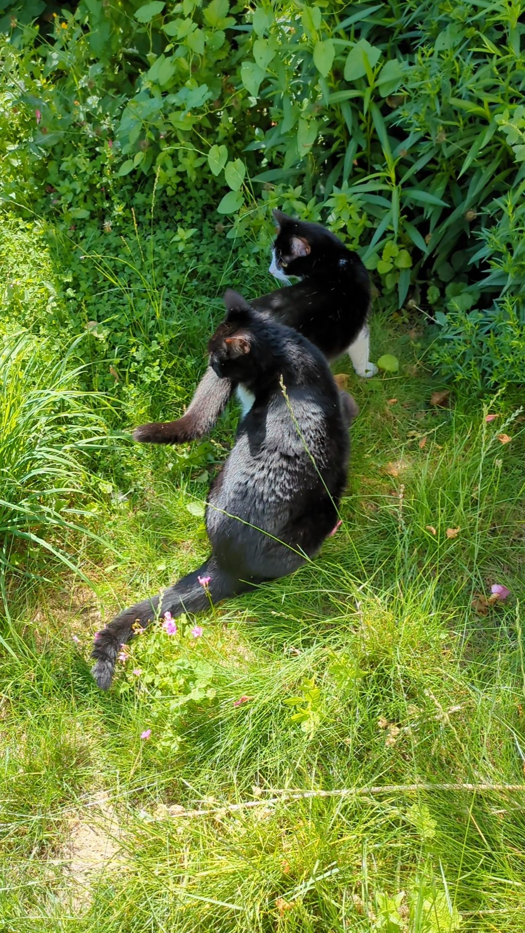 Go Fund Meep campaign photo, 6 of 8