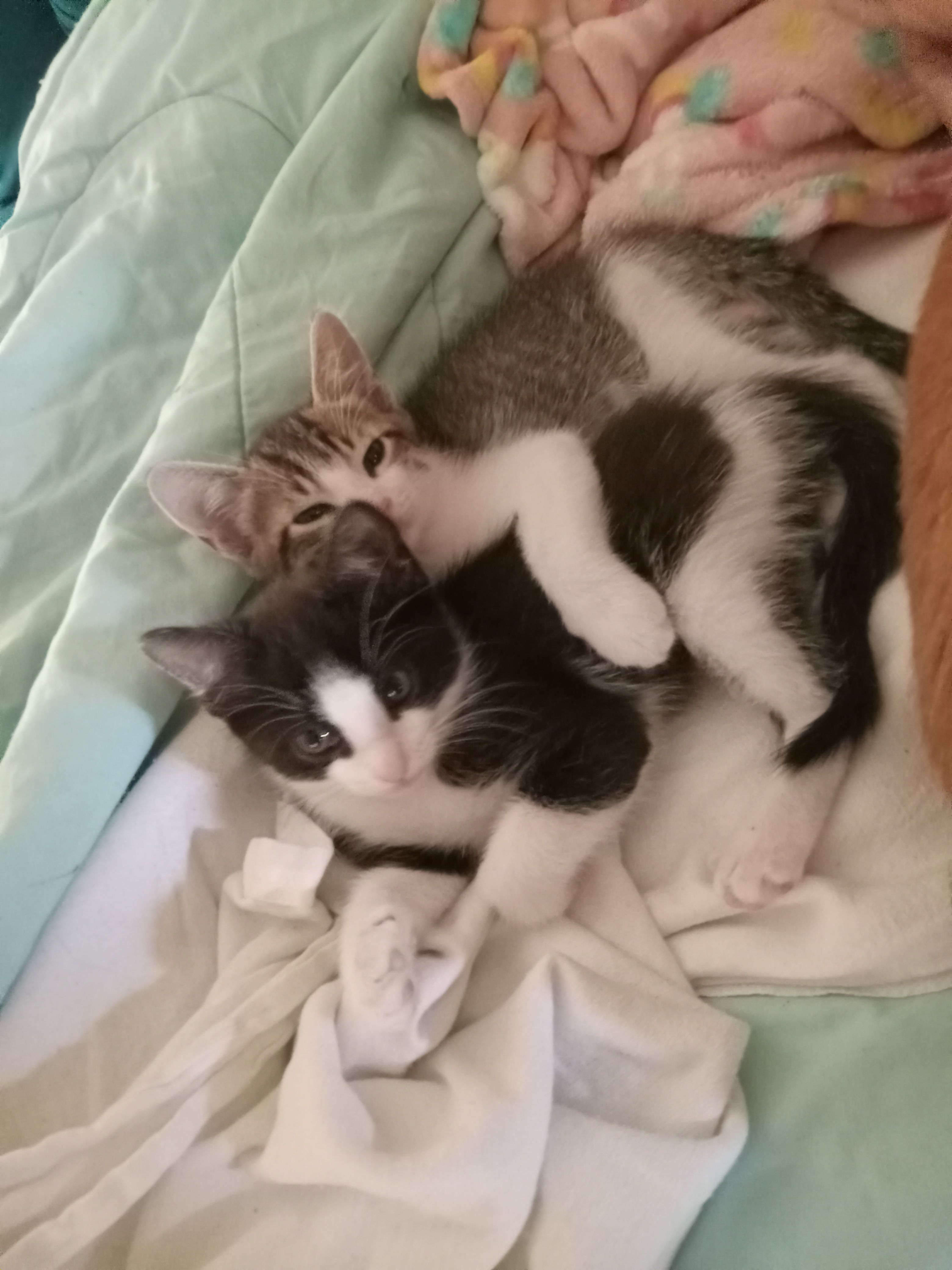 User-uploaded image 1