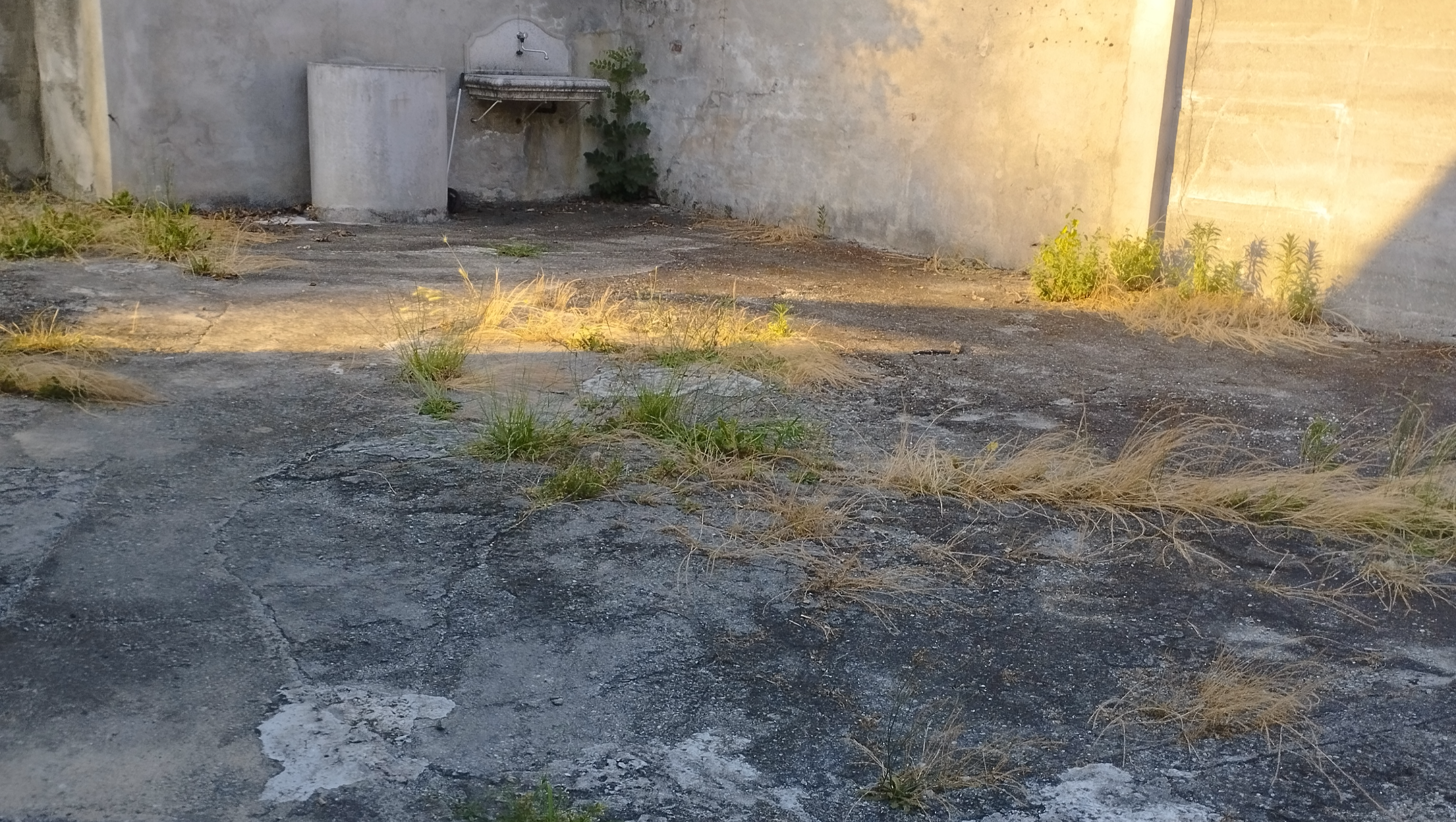 Un sogno per le mie possibilità irrealizzabile. photo