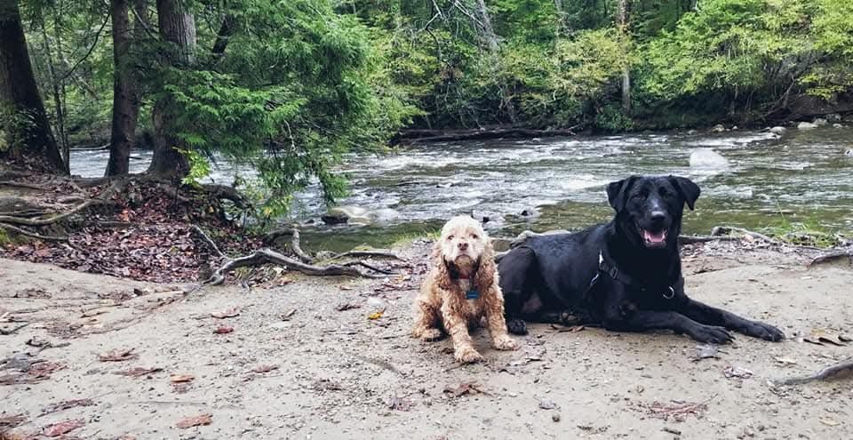 User-uploaded image 1