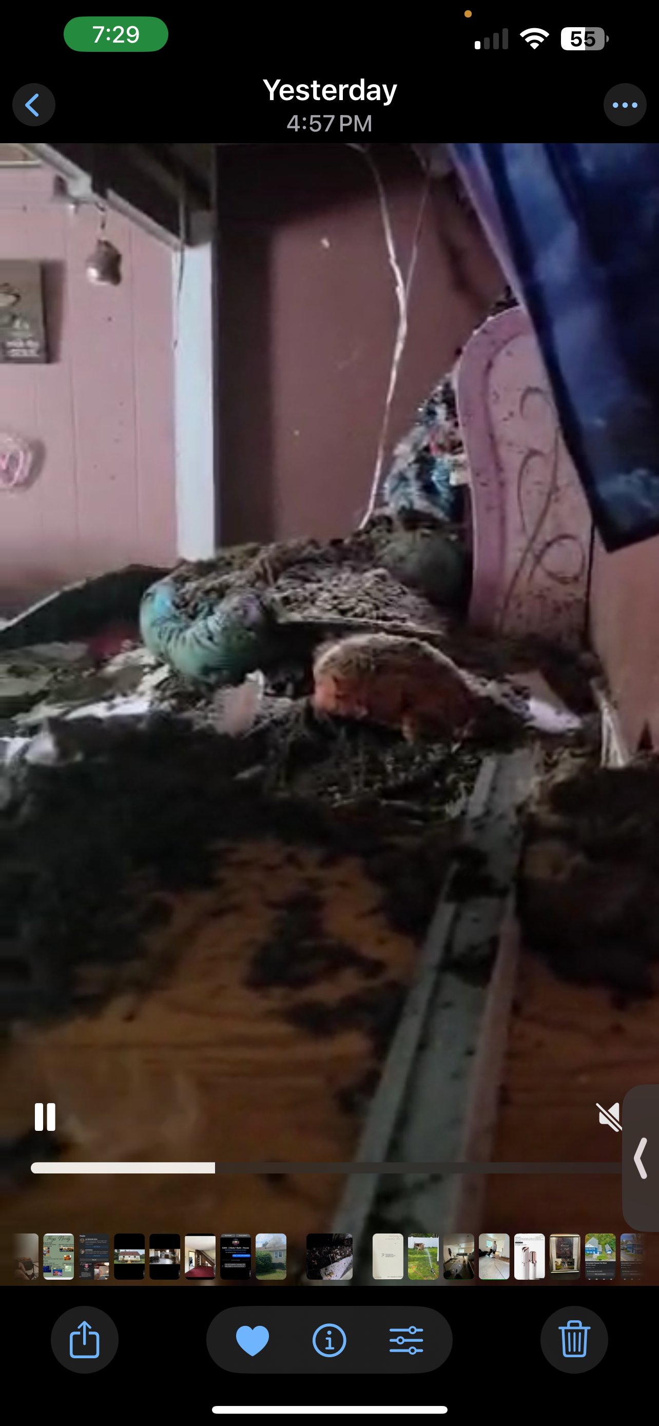 Help Renee, Patrick, and Family Rebuild After Devastating Ho campaign photo, 2 of 8