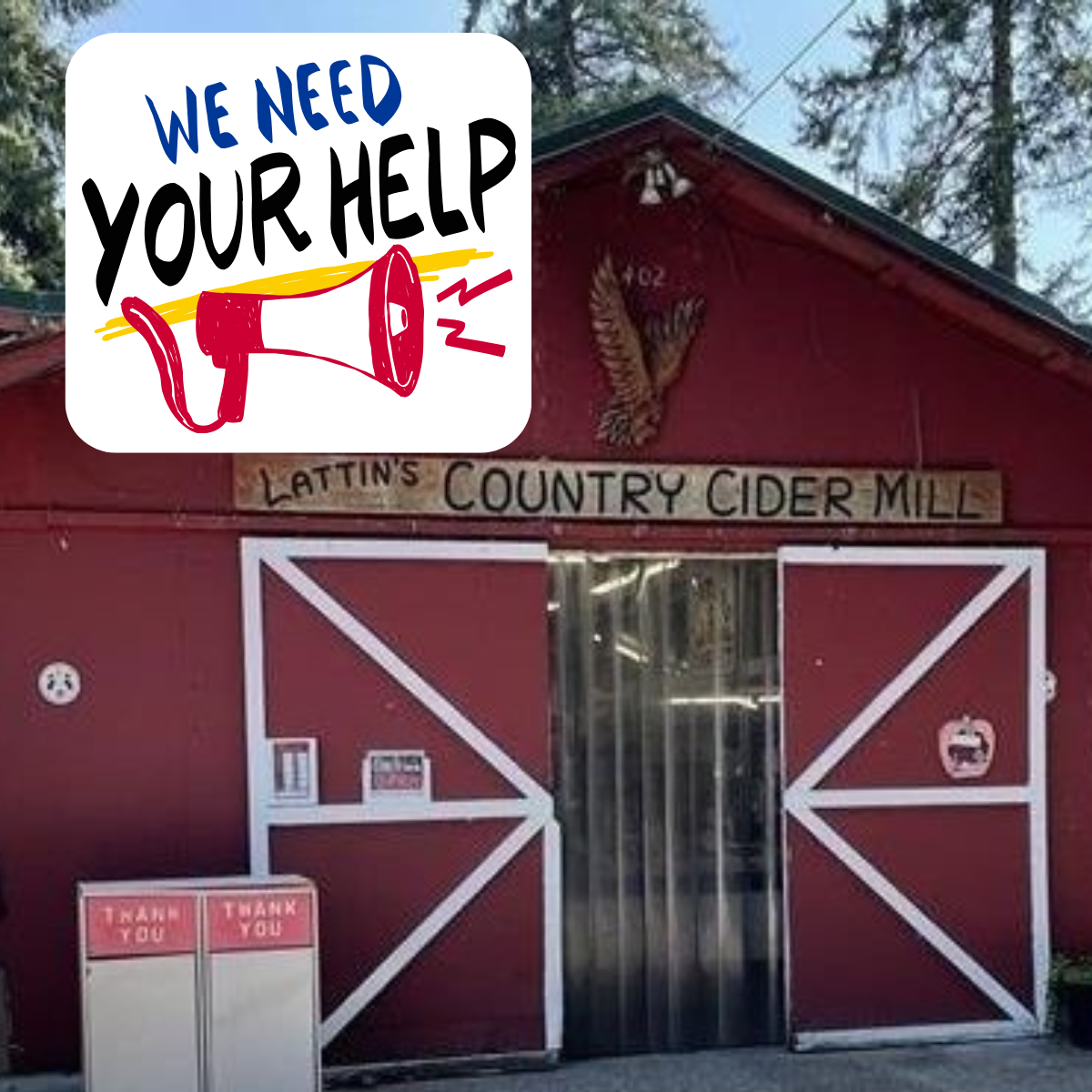 User-uploaded image 1