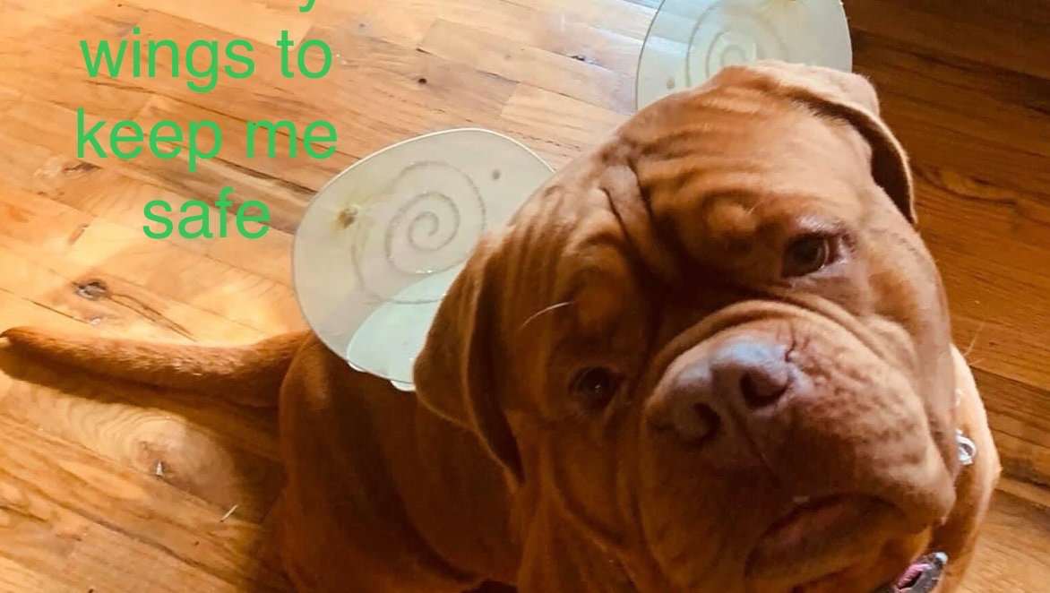 Help Me Fight Cancer After Home Invasion photo