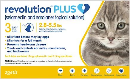 Supplies Running Out for Rescue Cats campaign photo, 7 of 8